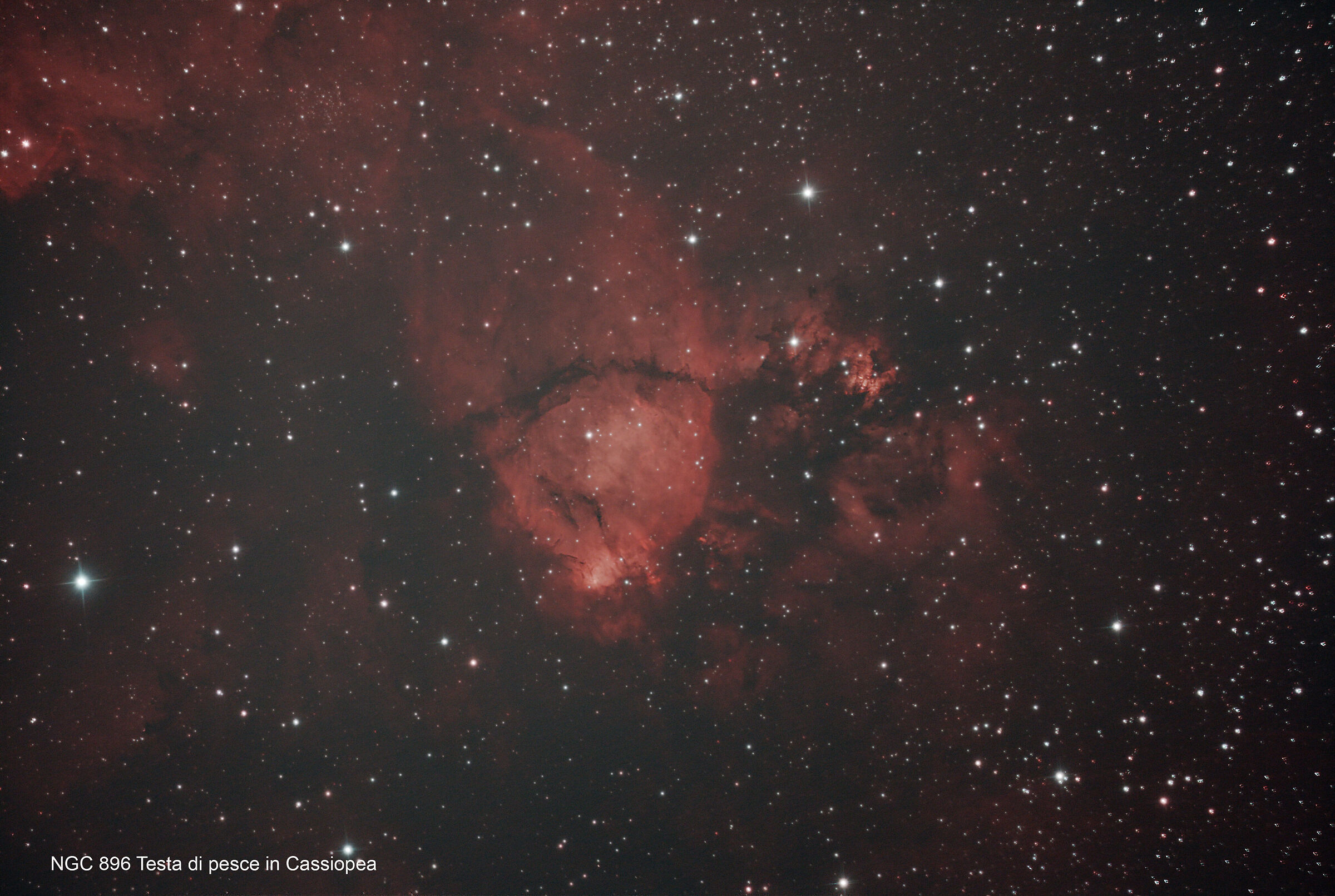 NGC 896 Testa di pesce in Cassiopea...