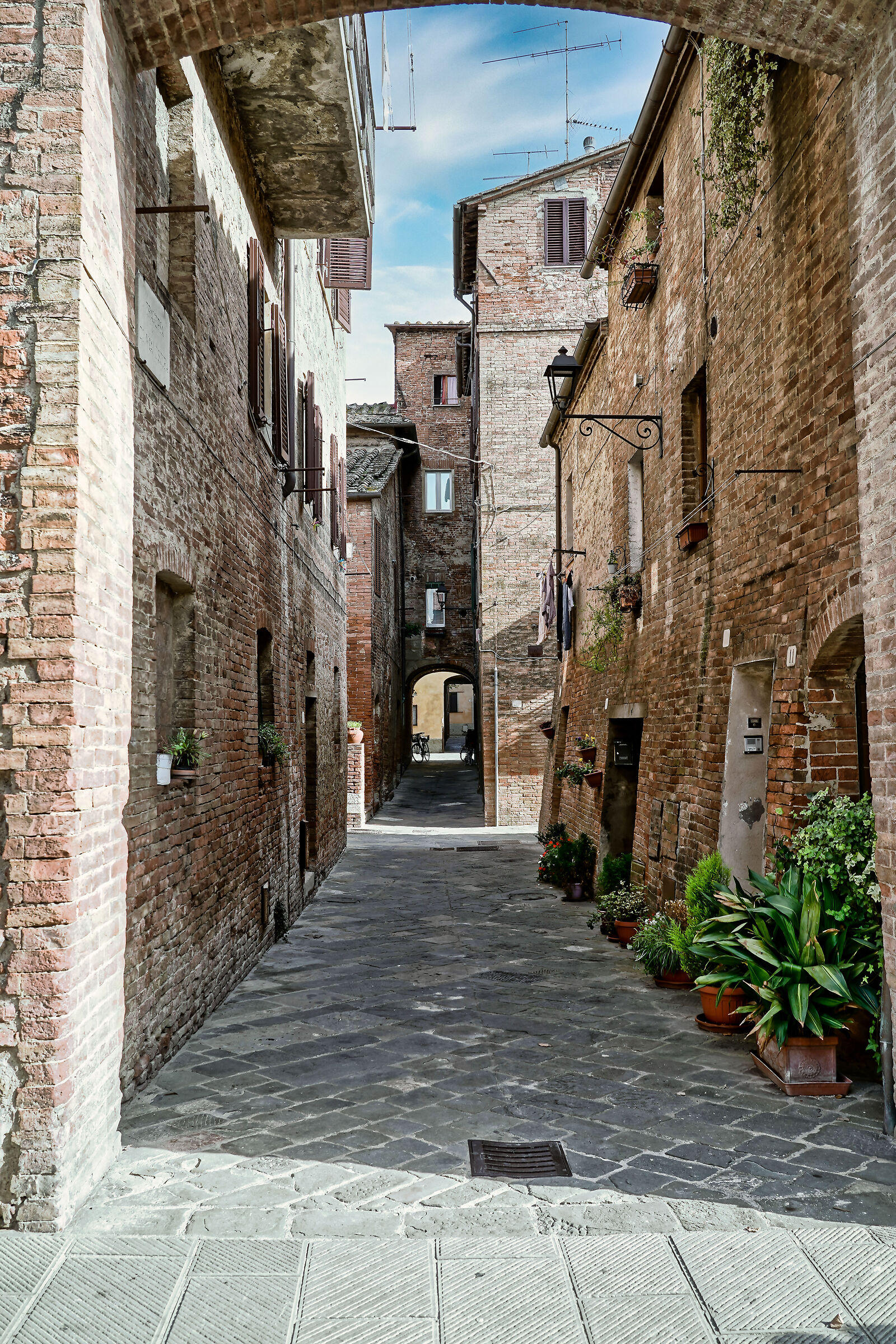 alley of Buonconvento (SI)...