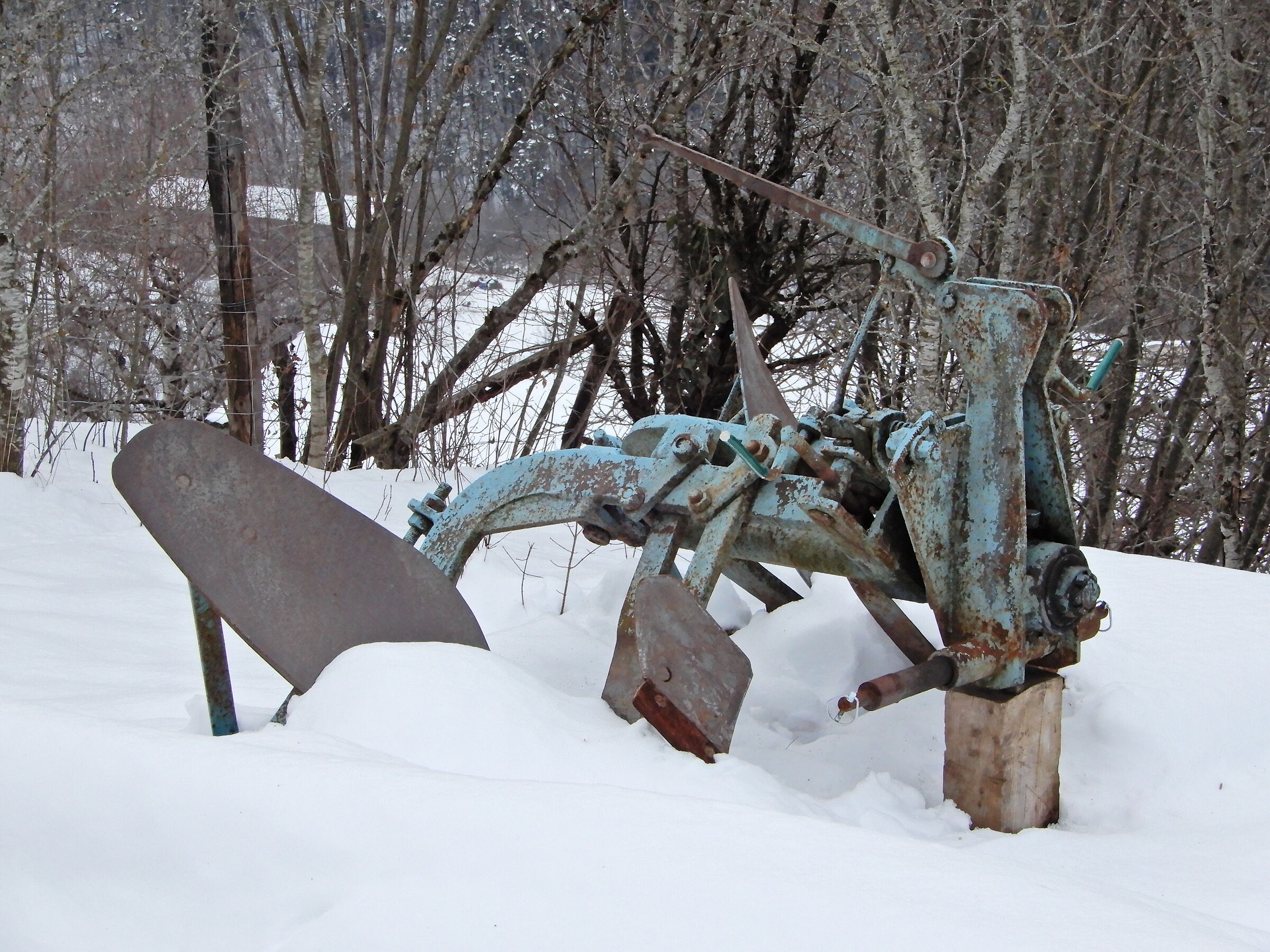 The old plow - in winter rest...