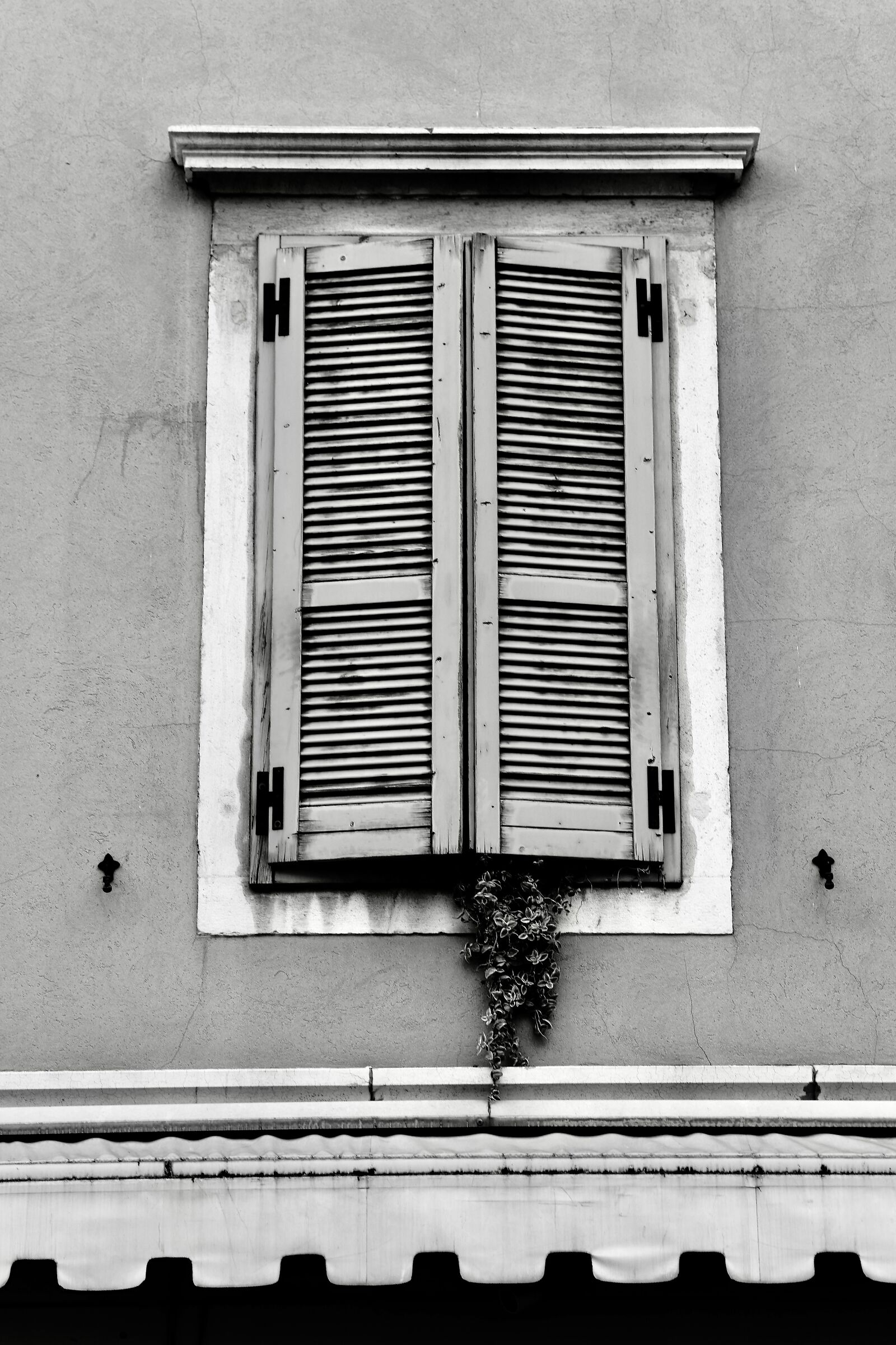 Windows in Cavana in Trieste...
