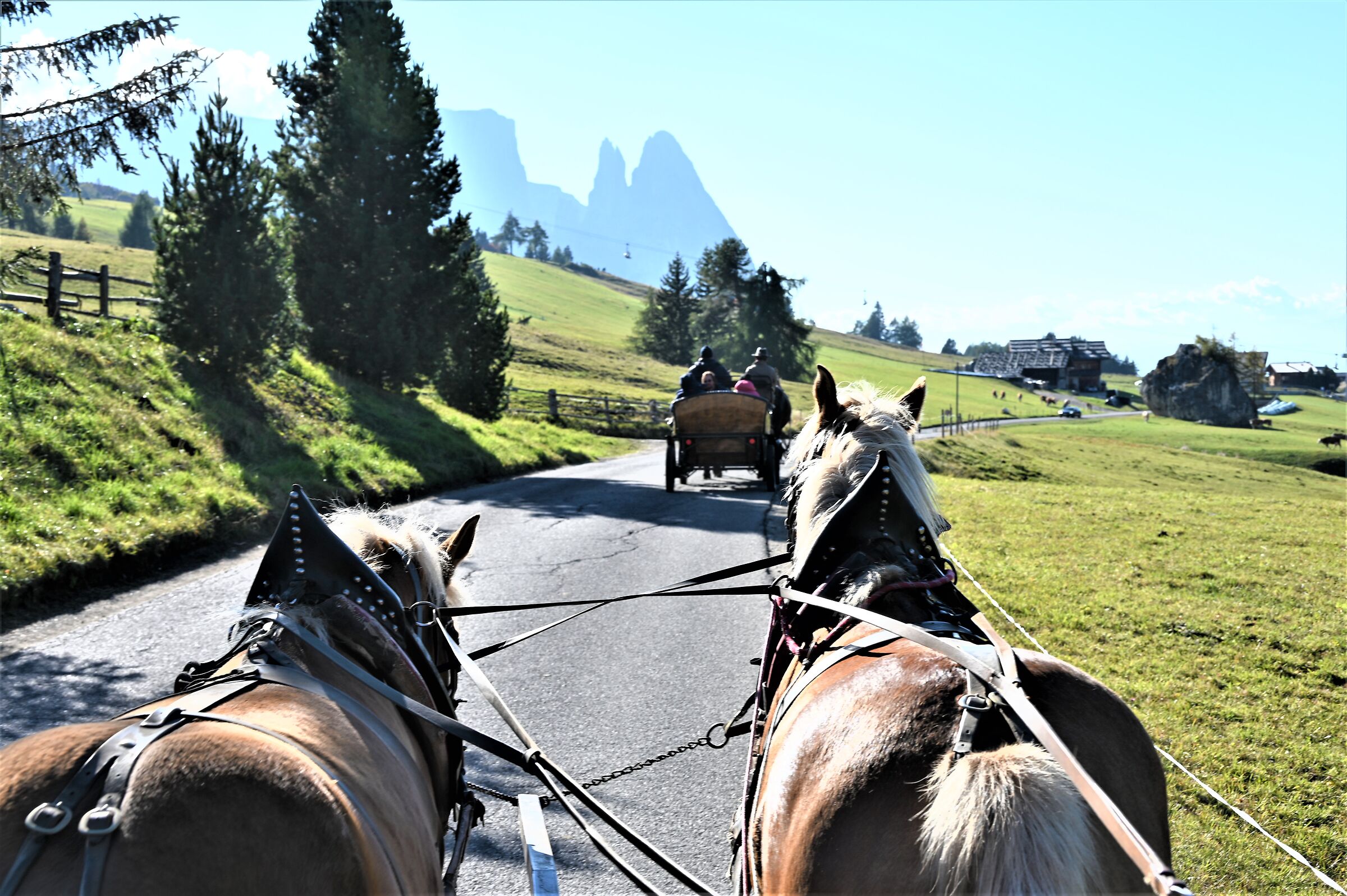 Carrozza con cavalli al Alpi di Siusi...