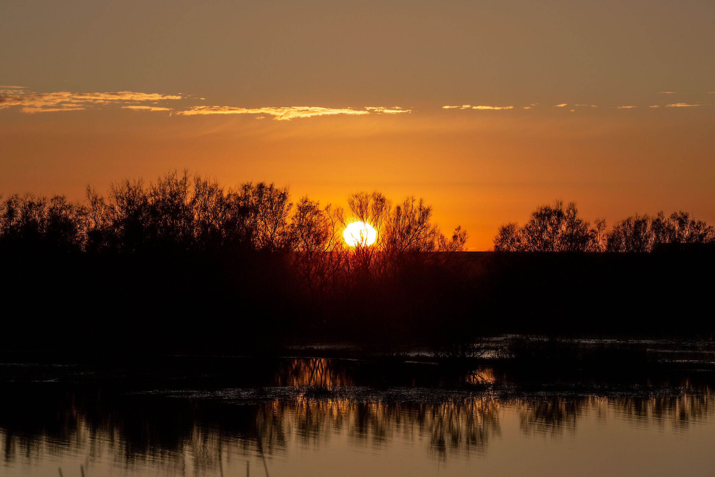 Sunset over the pond S' Ena Arrubia - Arborea....