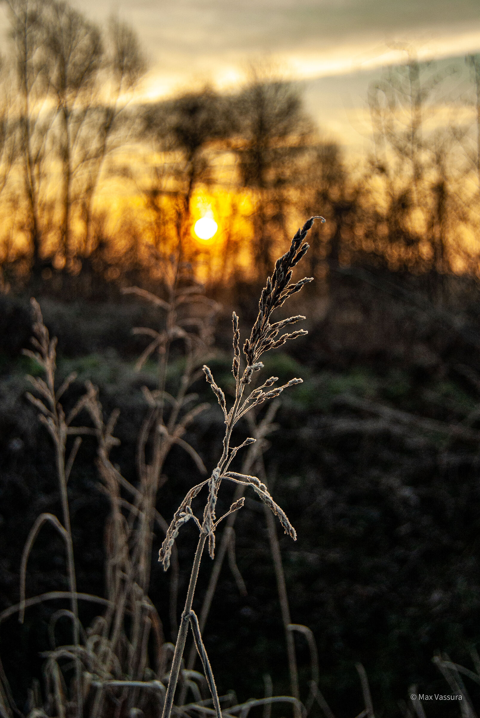 Sunrise with the Nikon D200...