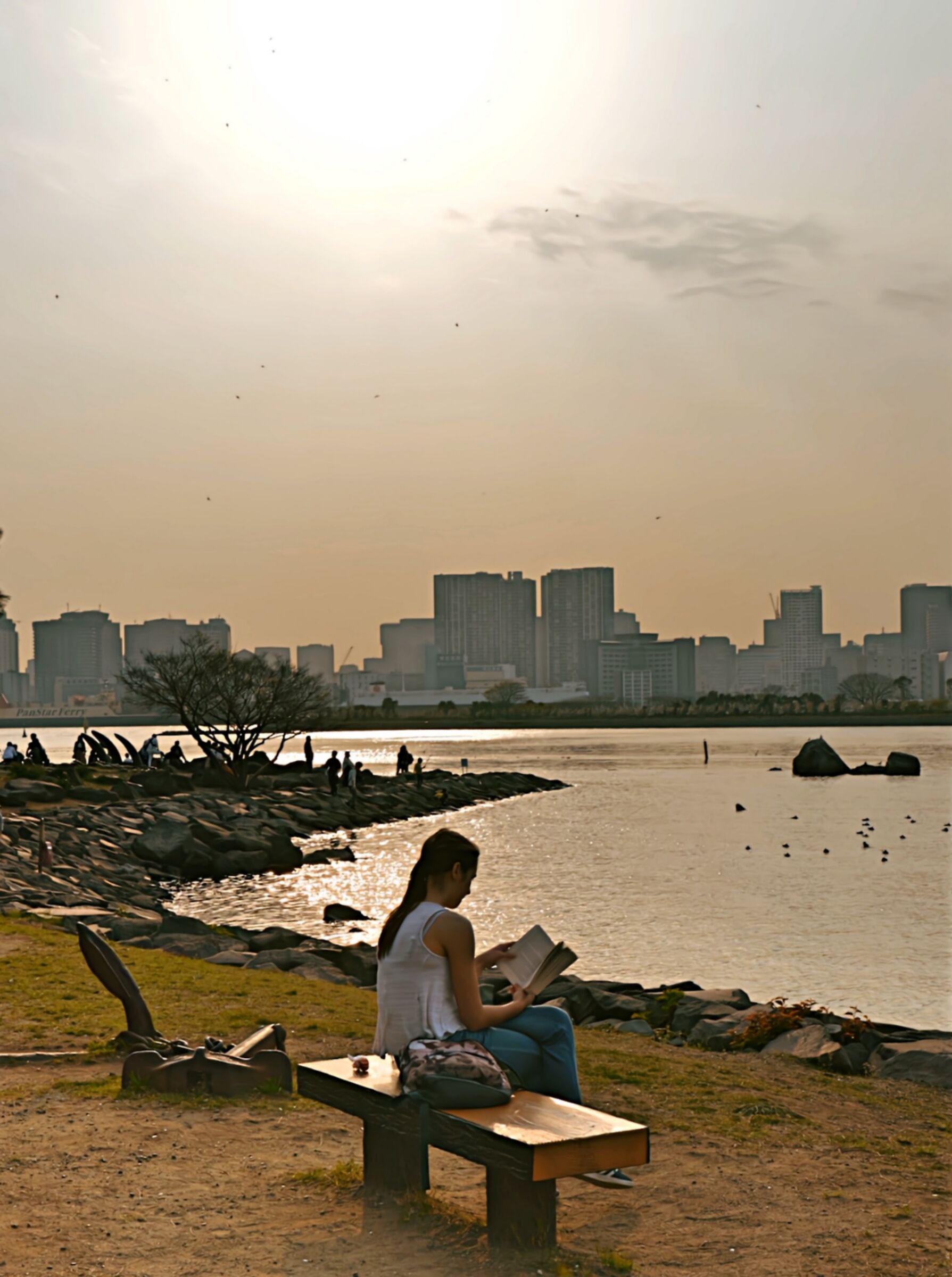 Relax on Tokyo Bay...