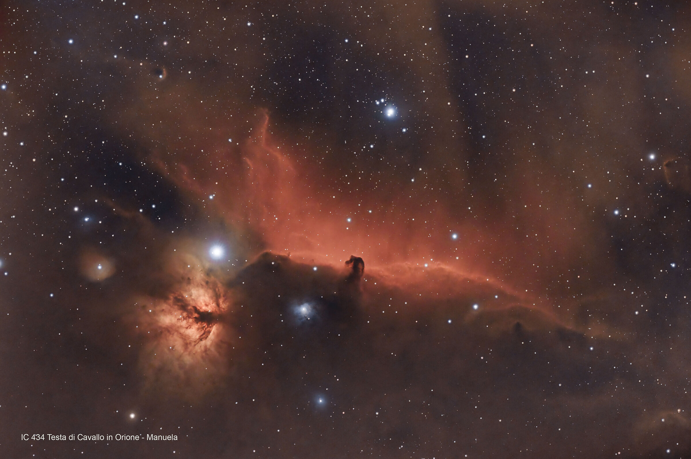 Ic434 Horse head in Orion...