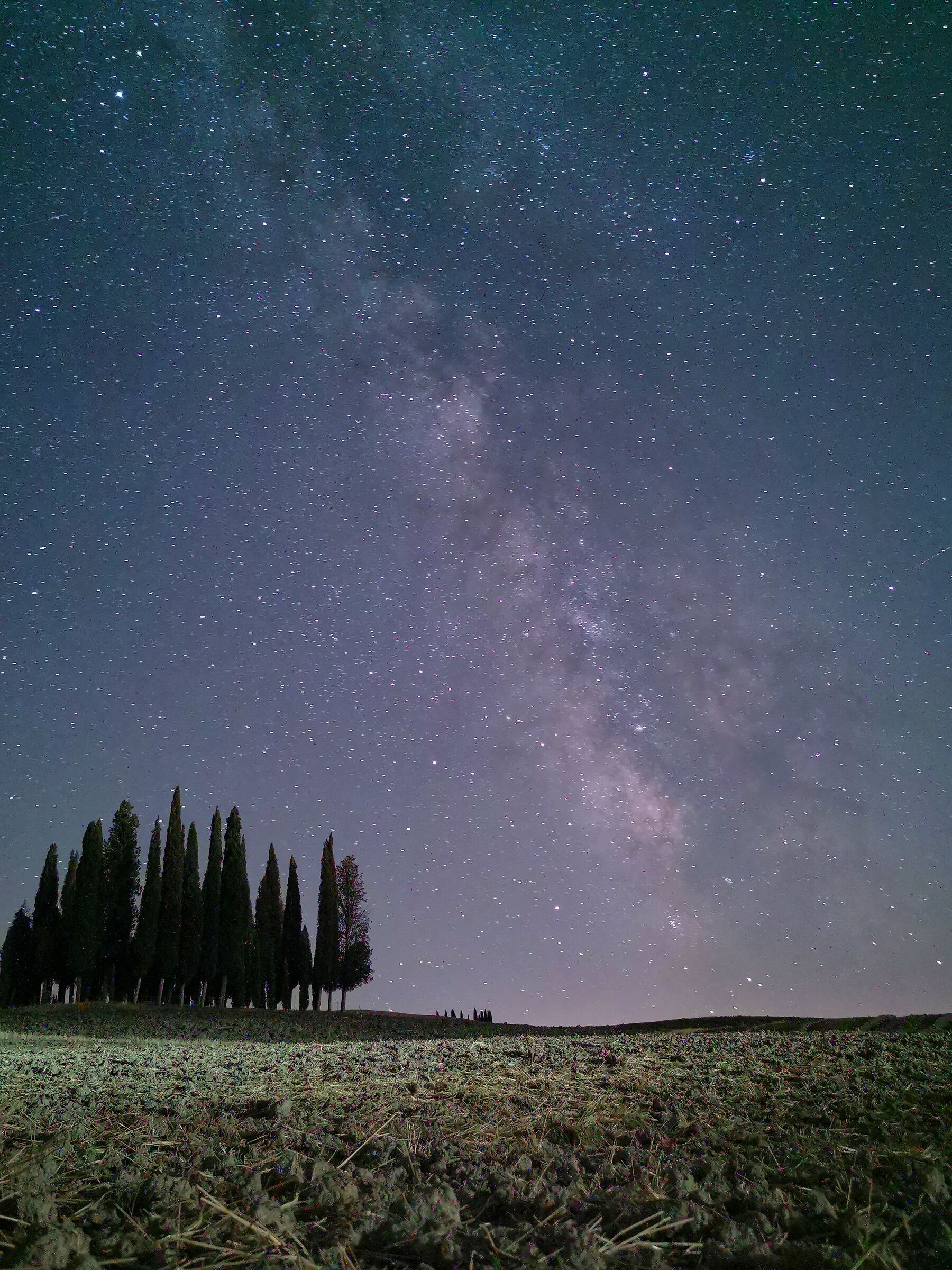 Milky Way on Cypresses...