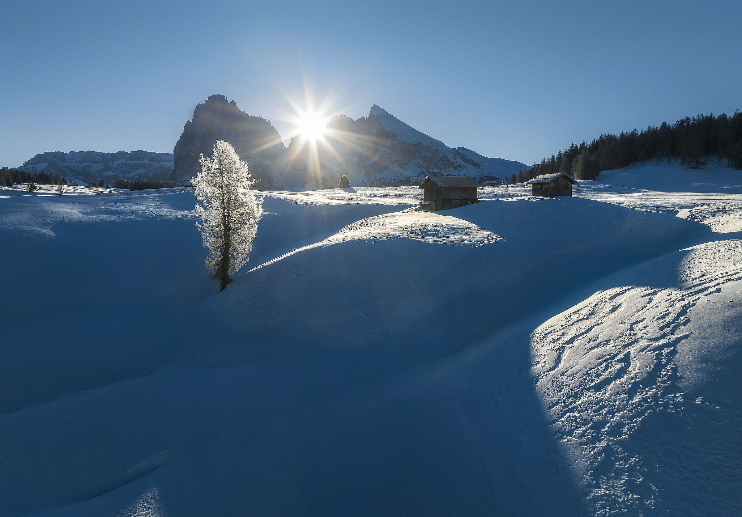 Un altro dal paradiso invernale dell'Alpe di Siusi...