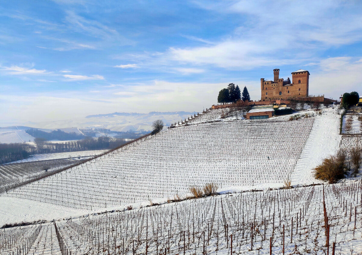 Gustava Vineyard and the Castle of Grinzane Cavour...