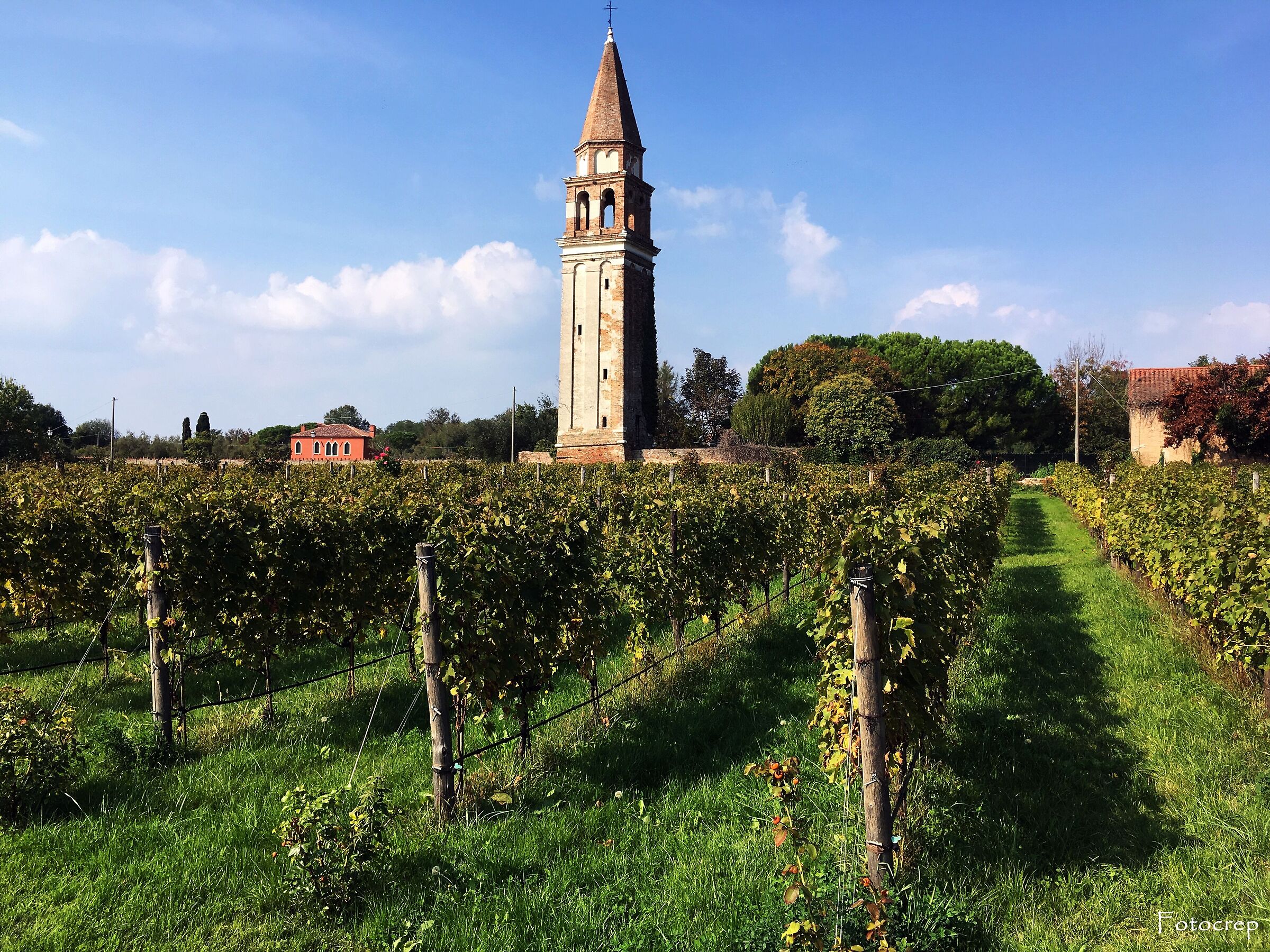 Burano, vineyards and bell tower....
