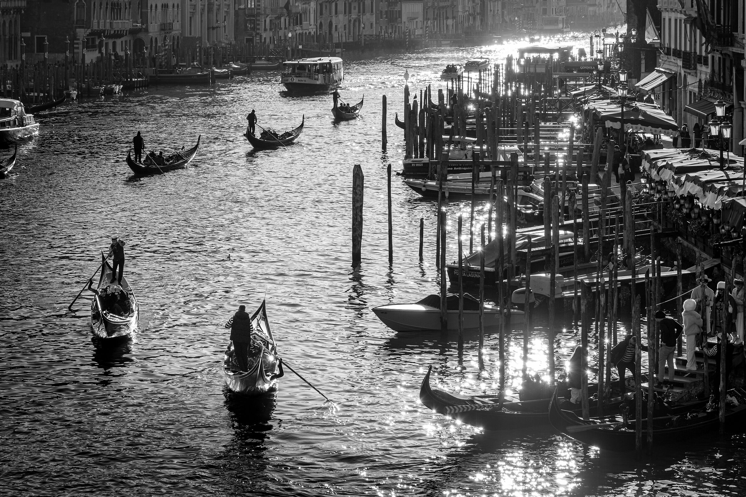 Gondolas on the Grand Canal...