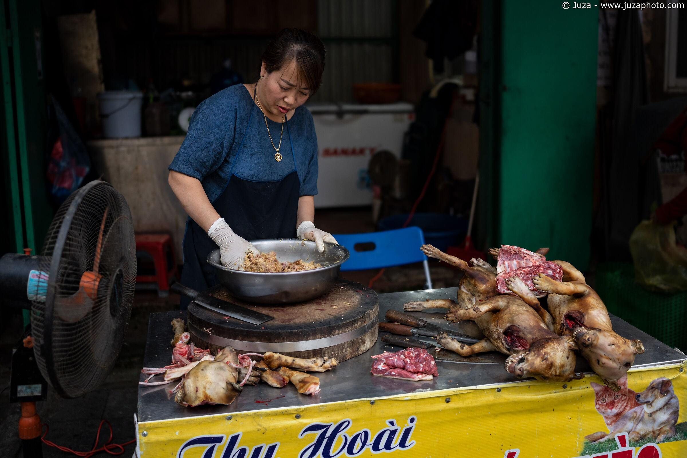Cane (e gatto) arrosto, Vietnam...