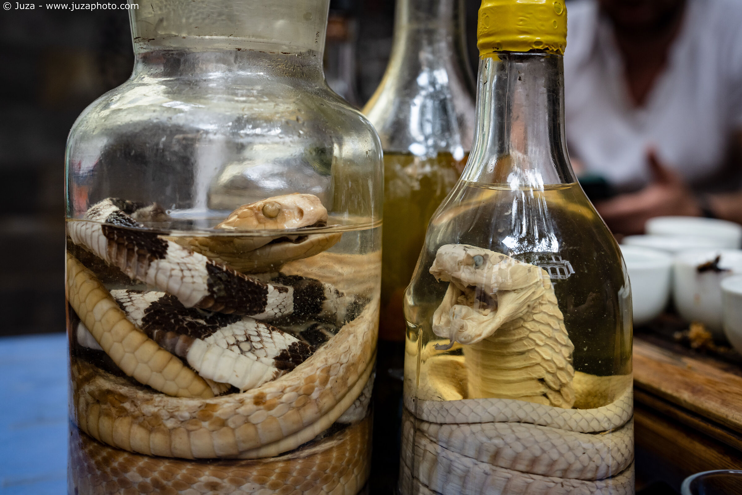 Liquore di serpente, Hanoi...