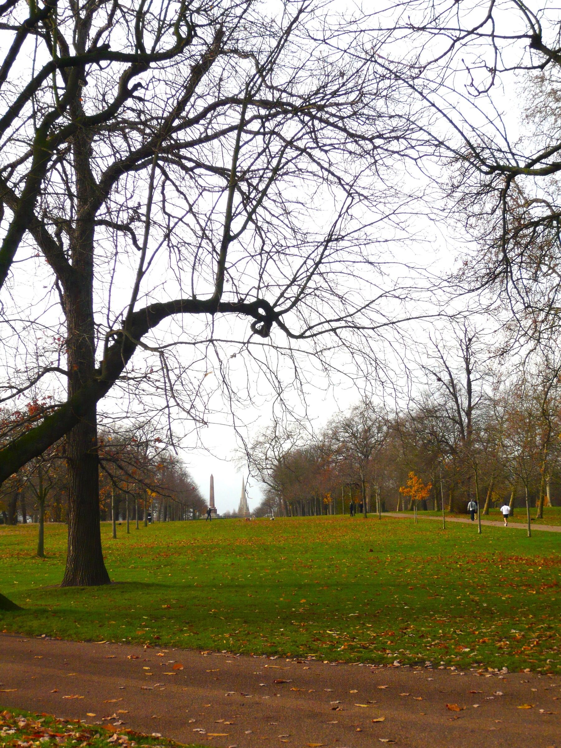 Autumn in Hyde Park...