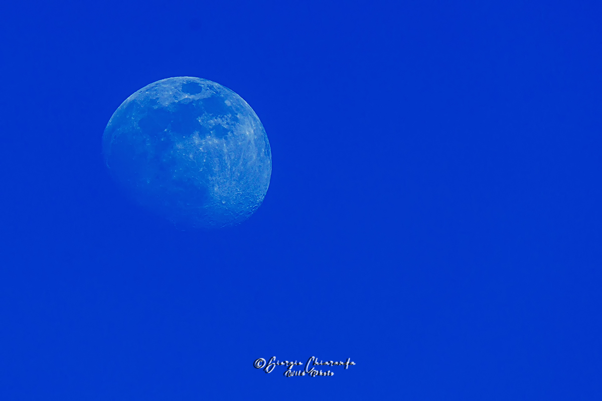 Moon in the Blue Hour....