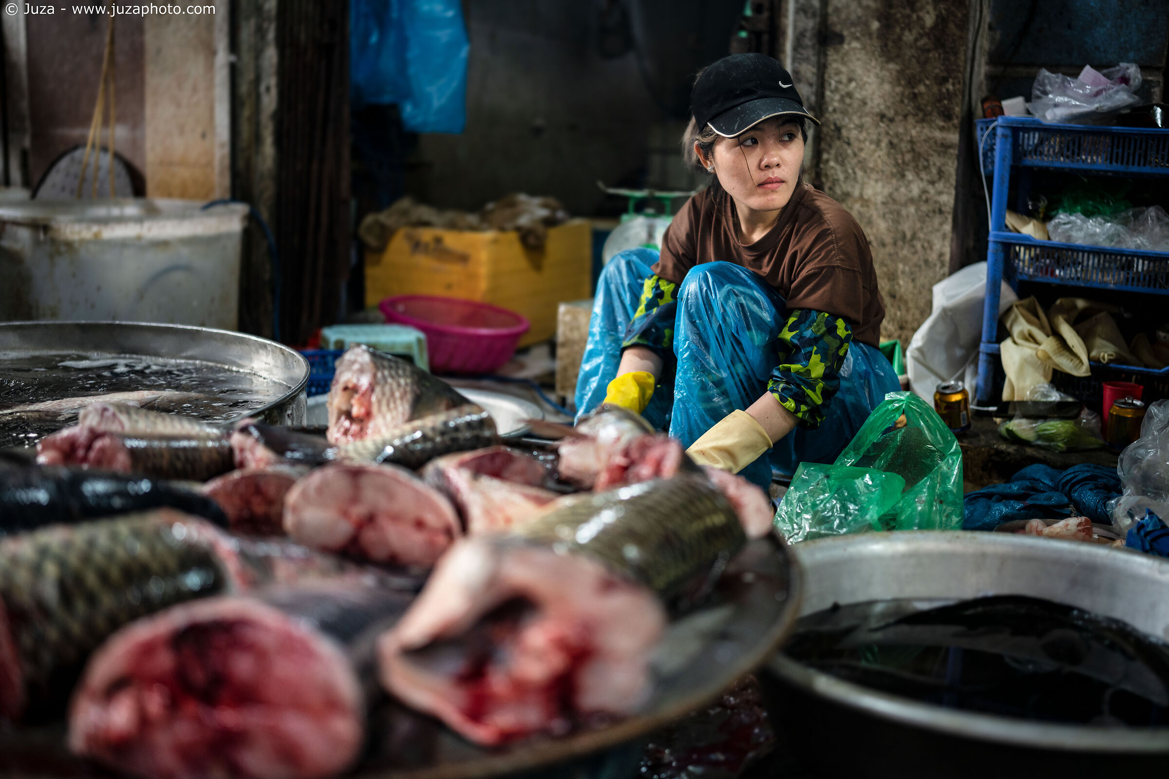 Venditrice di pesce, Hanoi...