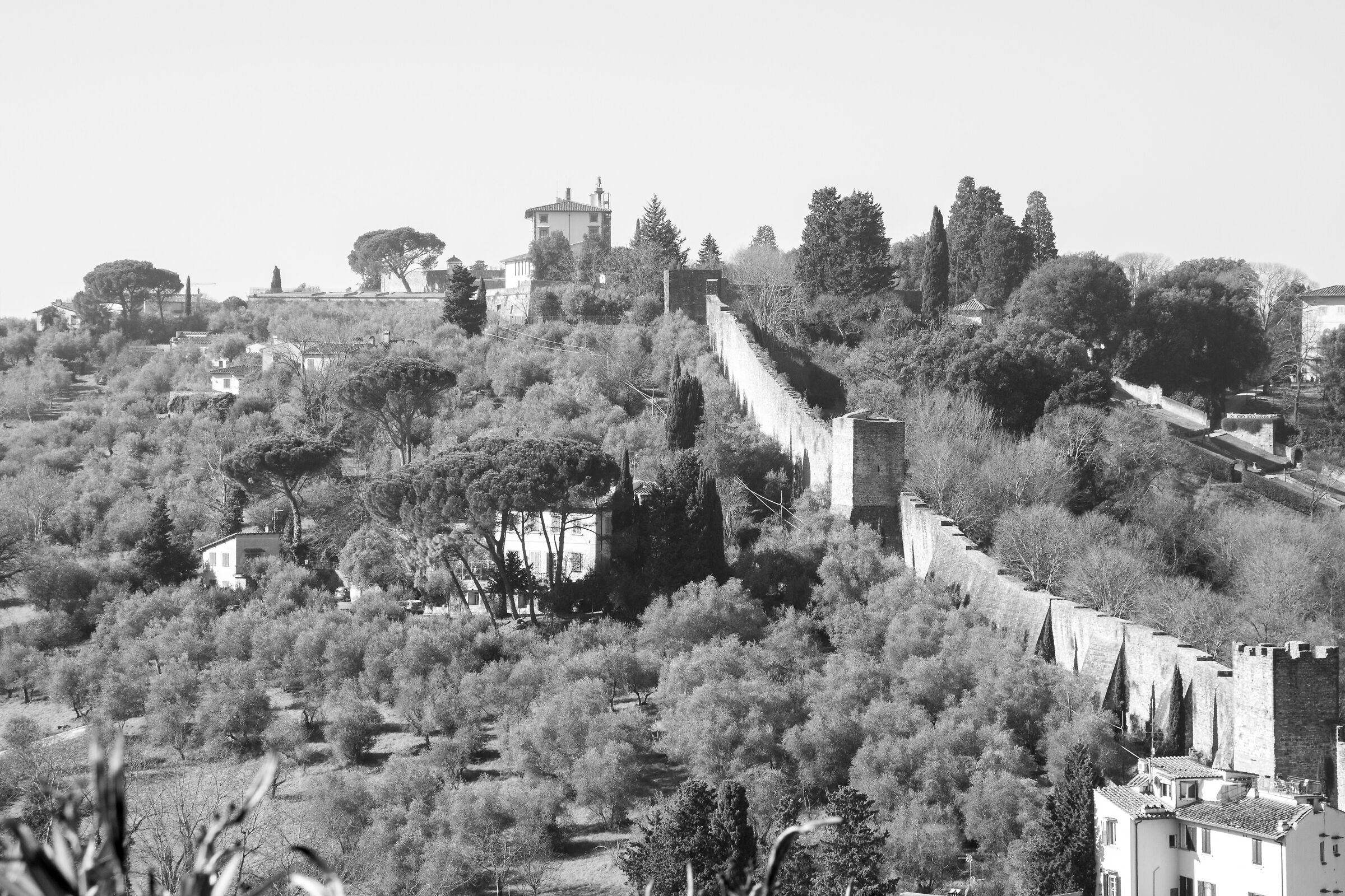 Vista Delle Mura da Piazzale Michelangelo...