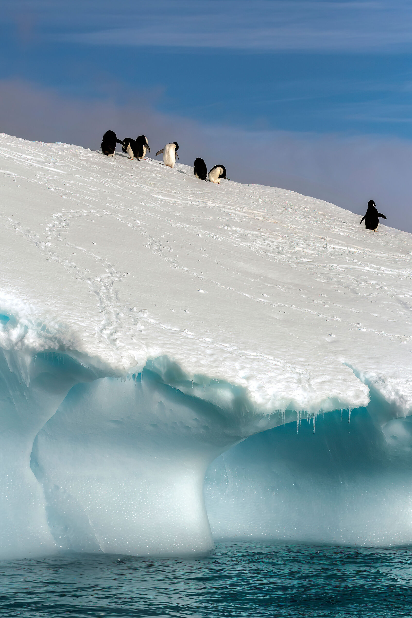Penguins on icebergs...