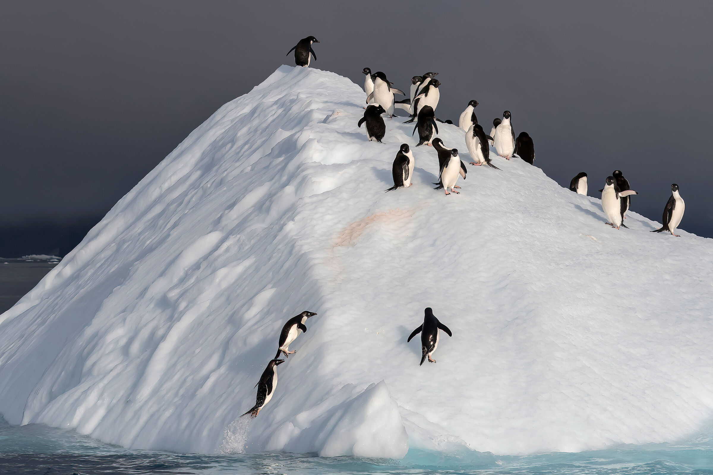 Penguins on icebergs...