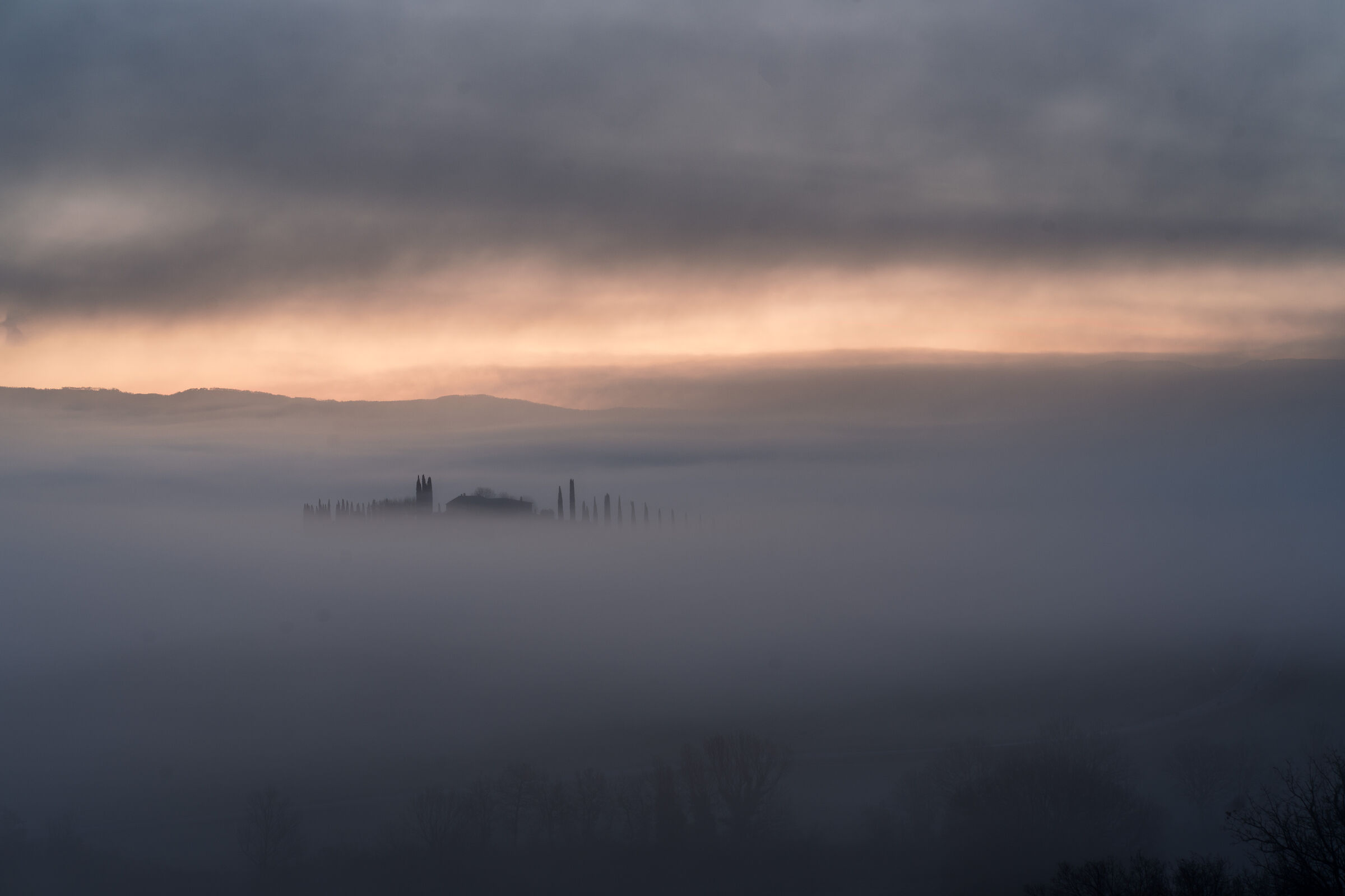 Fog at dawn at Poggio Covili...