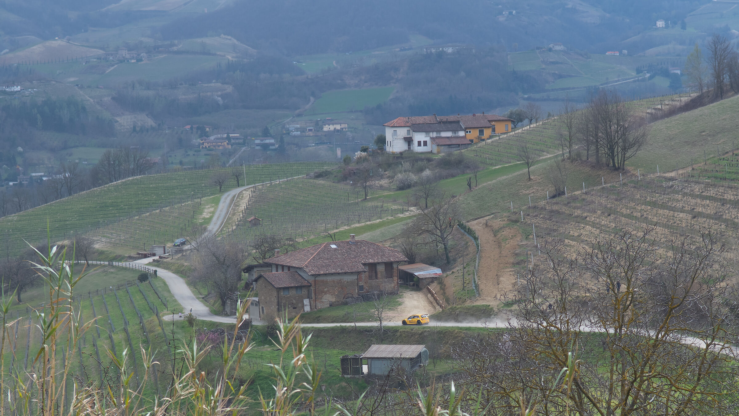 Rally Monferrato vineyards 23 ...