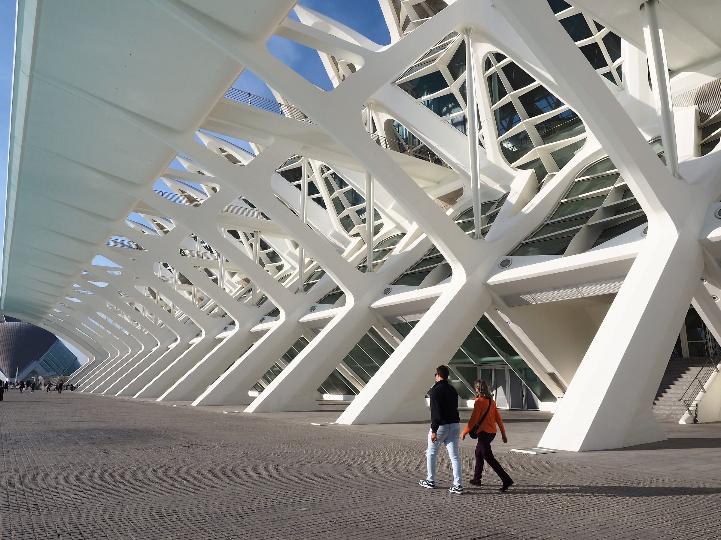 Valencia science city of Calatrava 1...