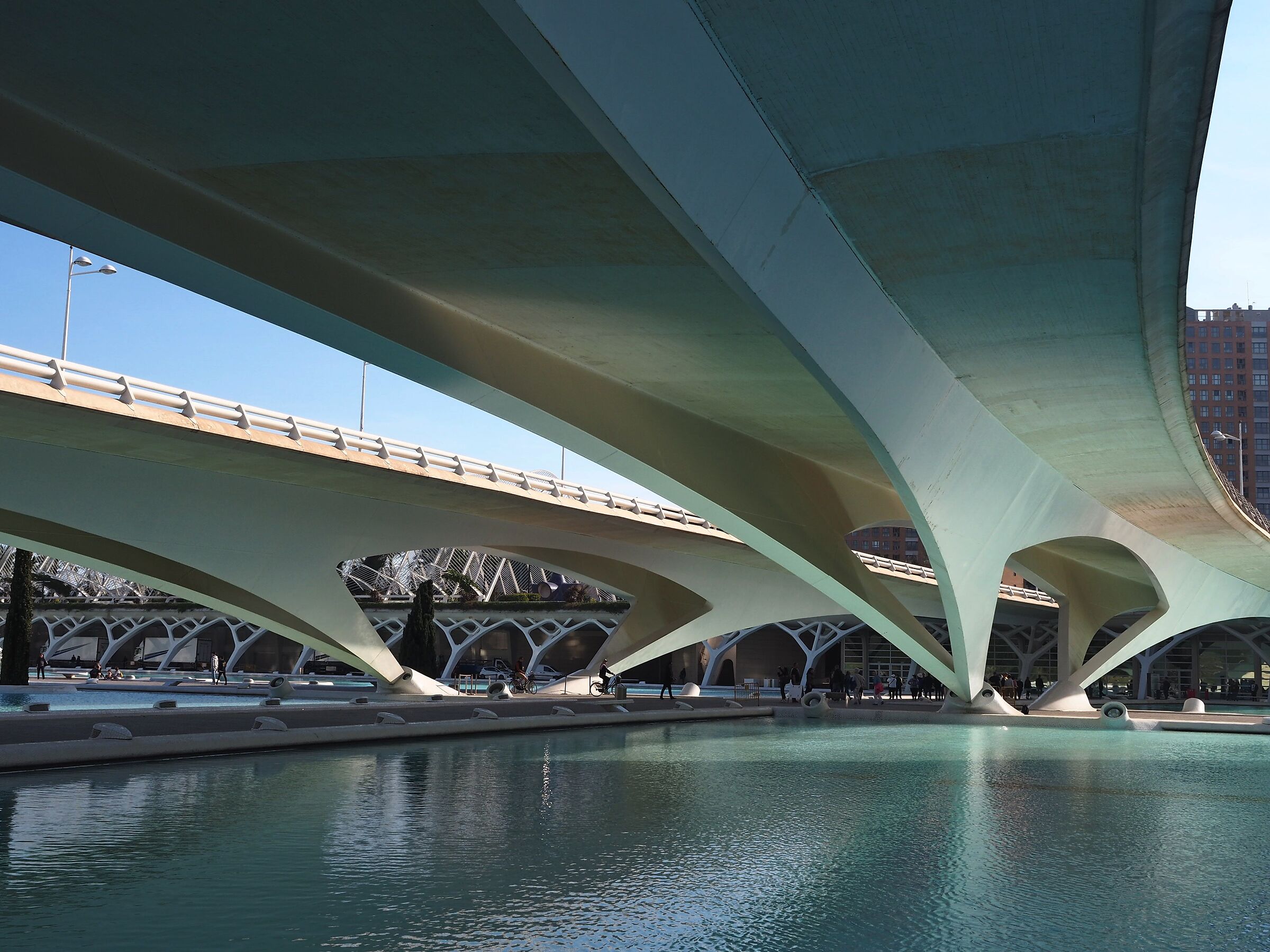 Valencia science city of Calatrava 2...