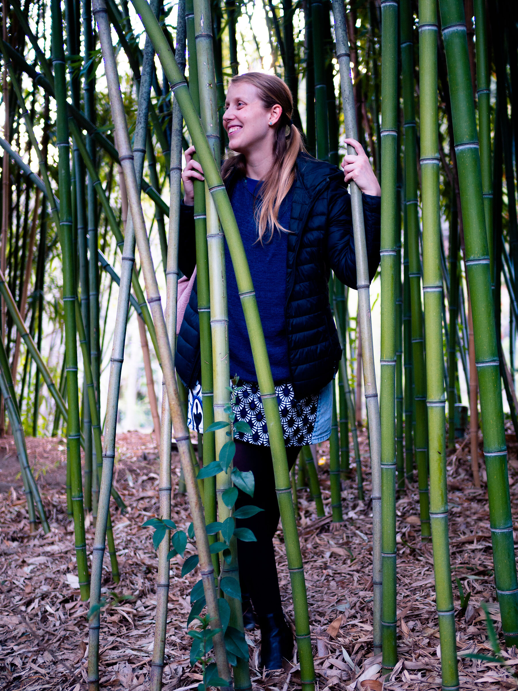 bamboo...