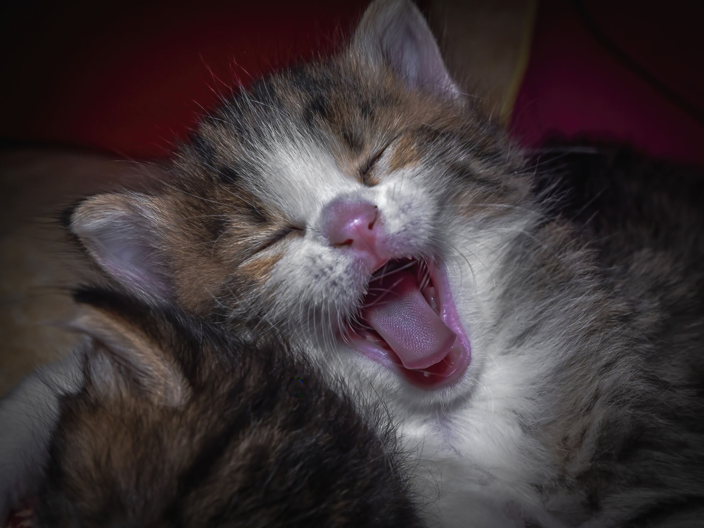 yawn...