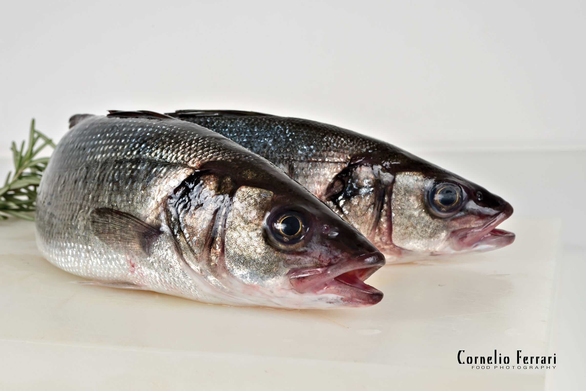 Sea bass on white synthetic cutting board ...