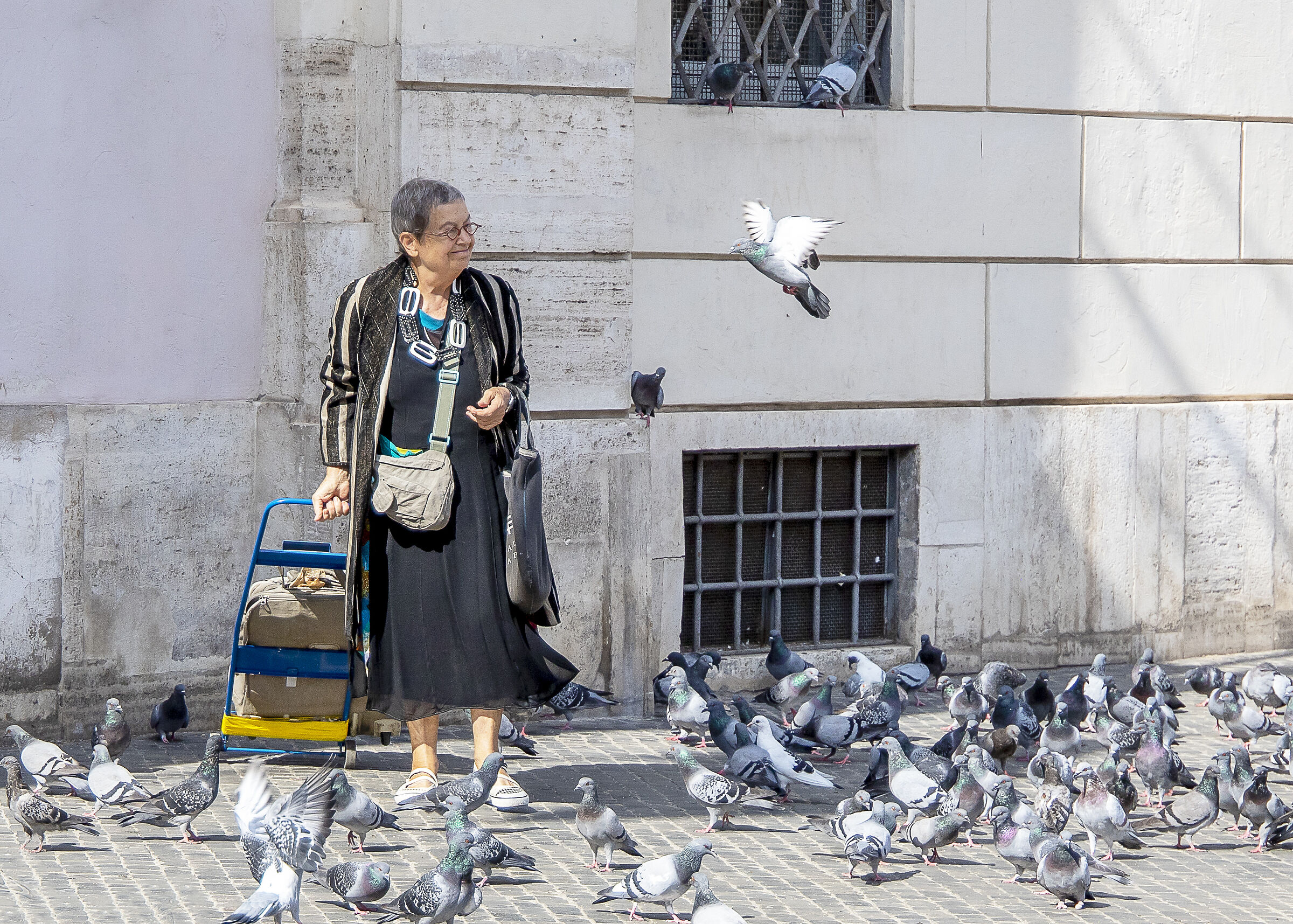 The Lady of the Pigeons......