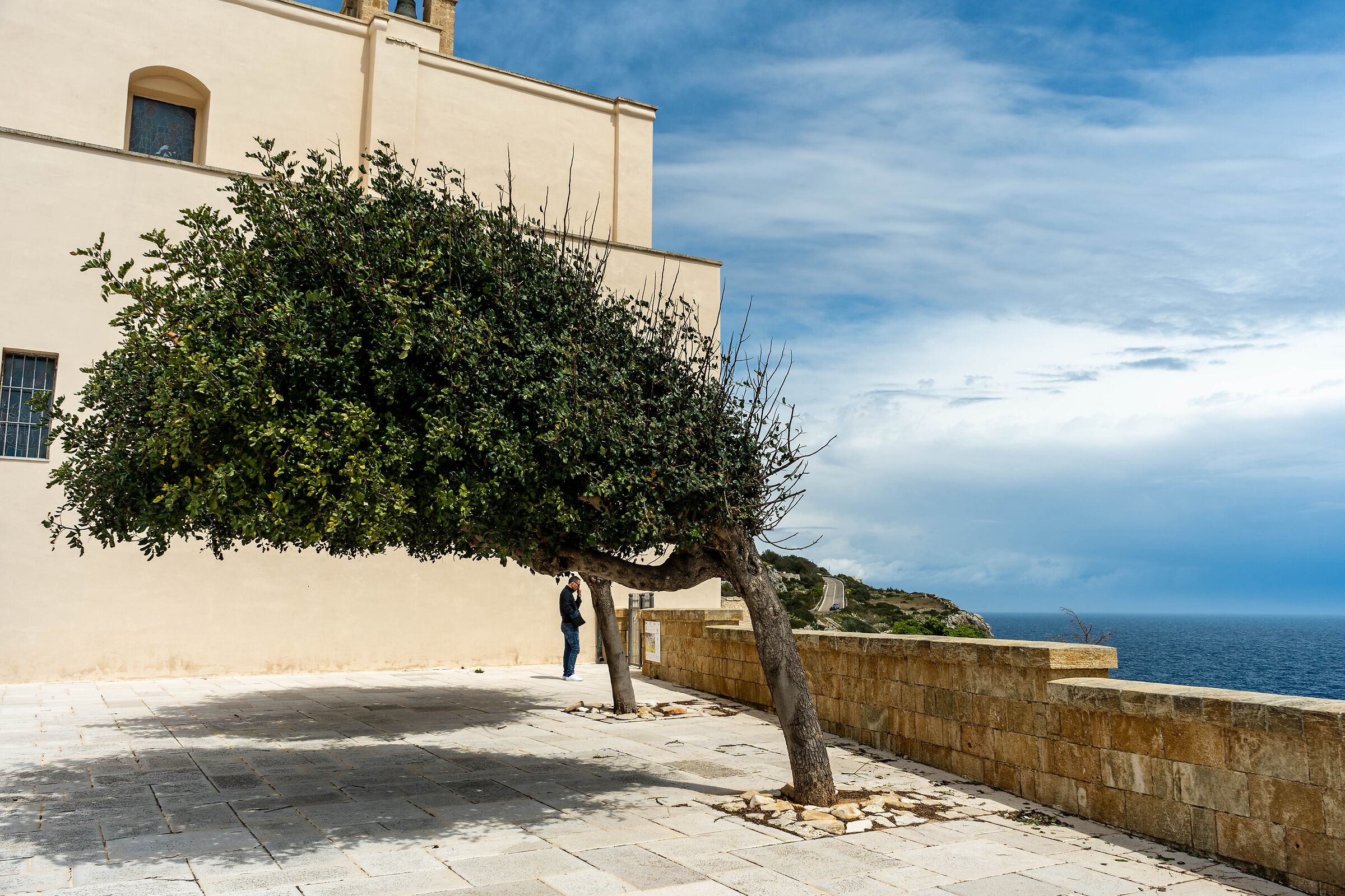 Wind from the South, dominant. SM of Leuca Sanctuary...
