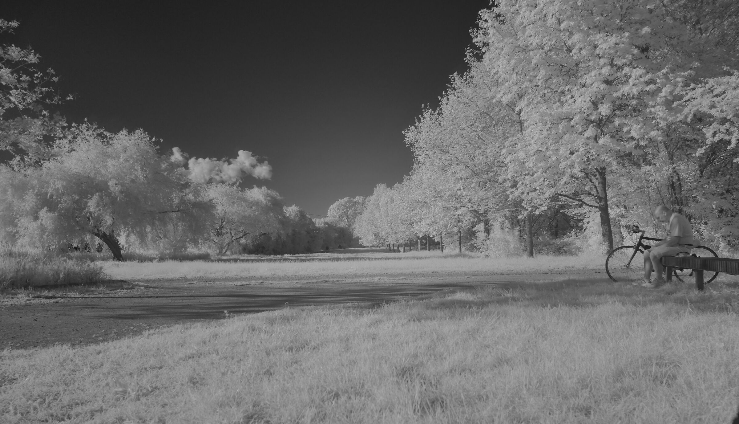 Parco Nord Milano - infrared...