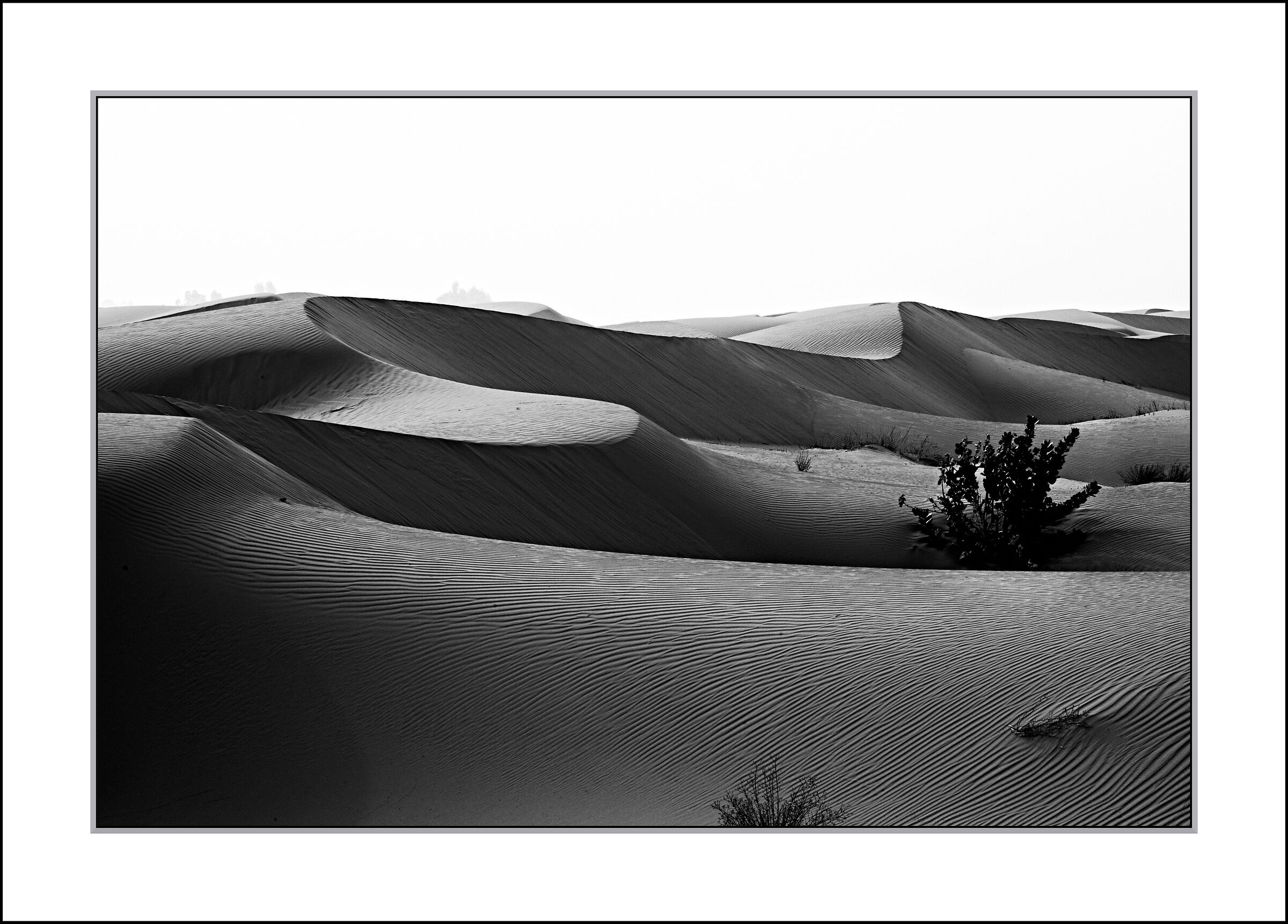 dune Morocco...