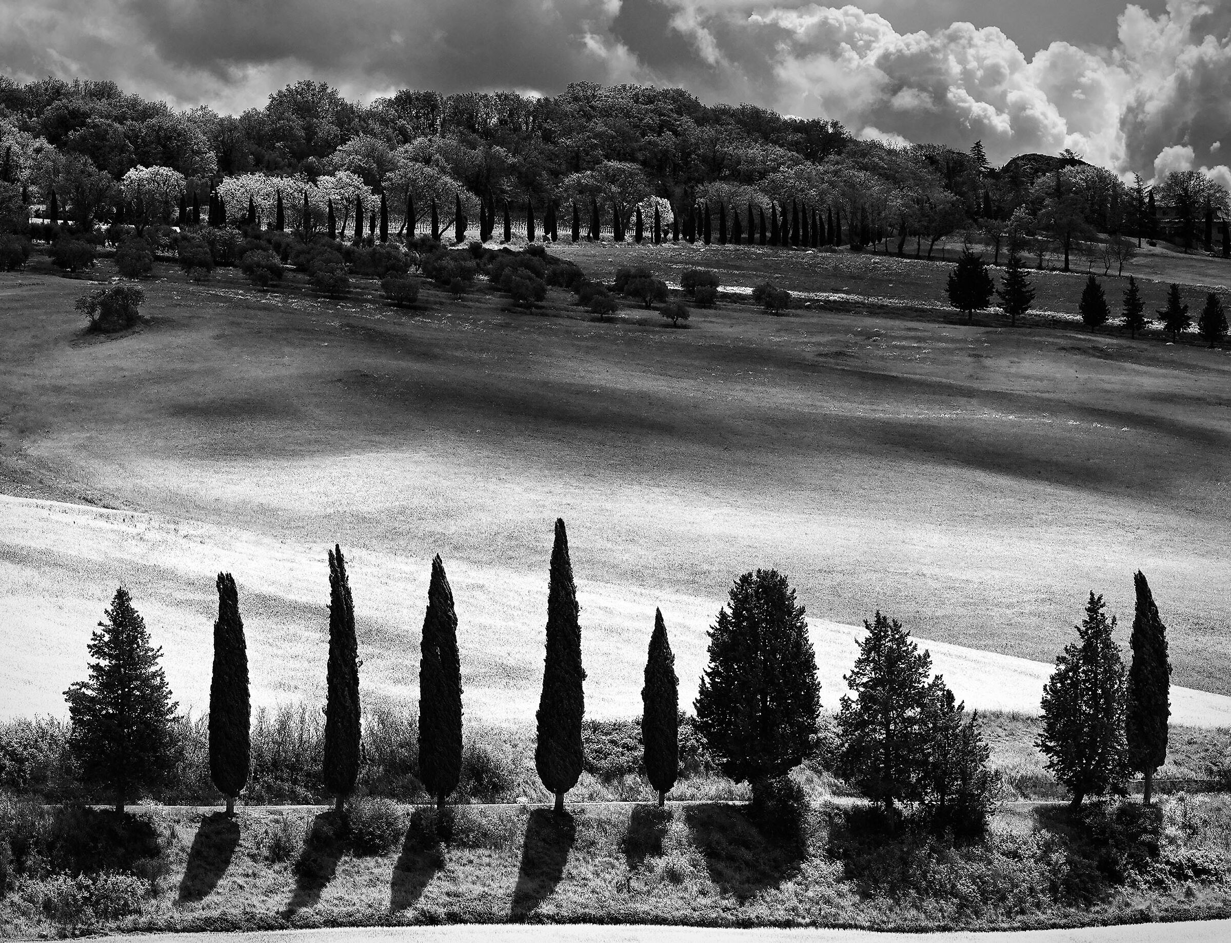 My Val d' Orcia.1...