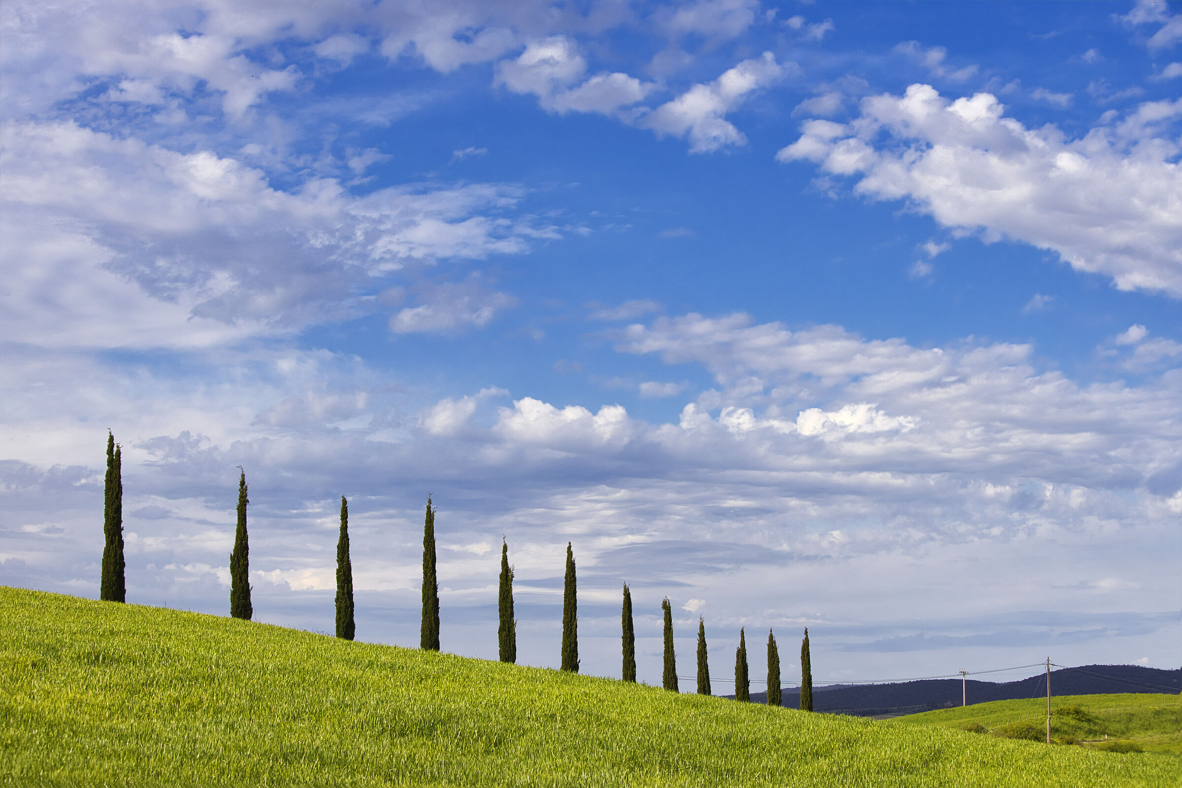Sky and cypresses...