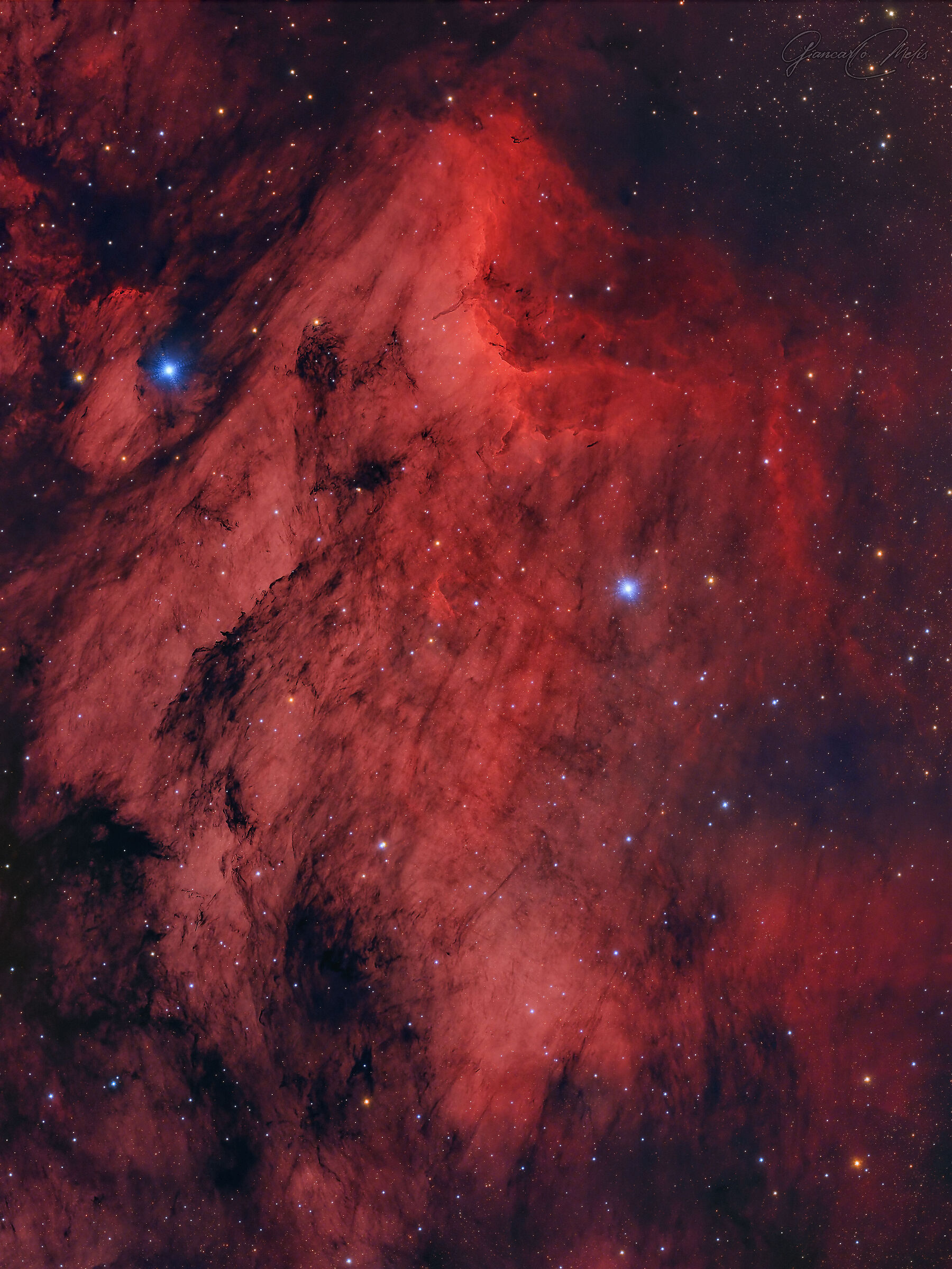Pelican Nebula...
