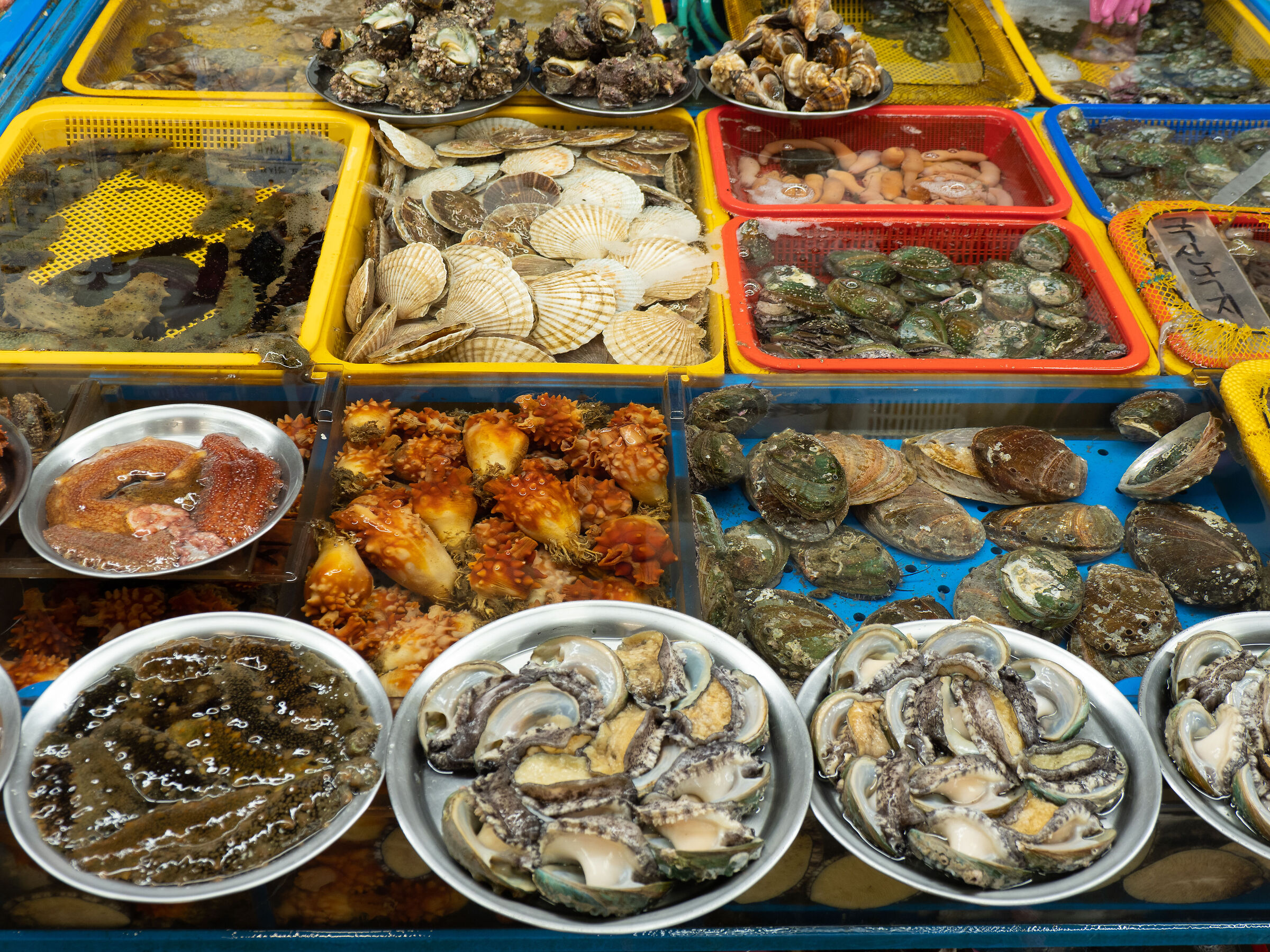 Busan - fish market #3...