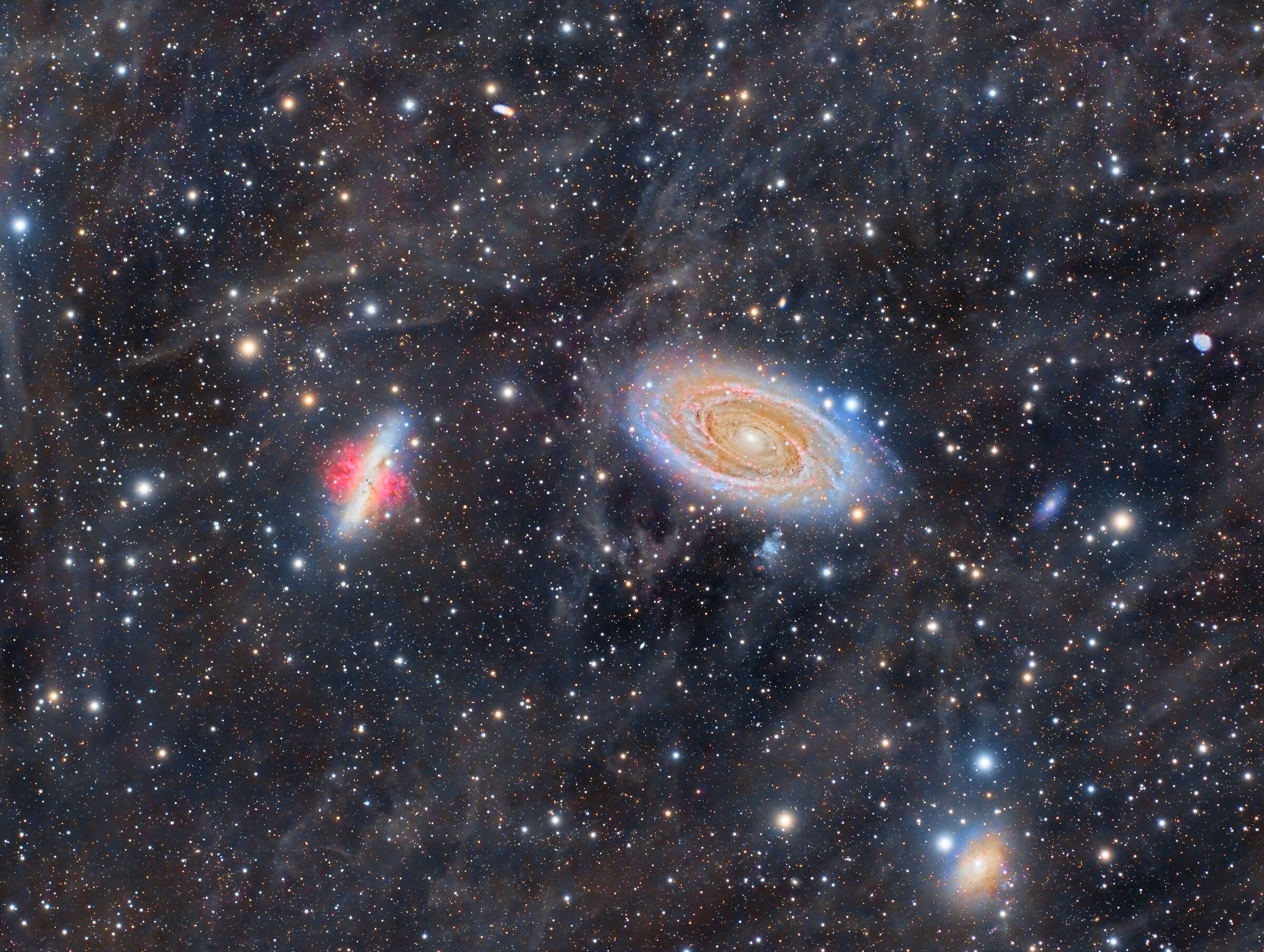 M81-M82 with IFN...