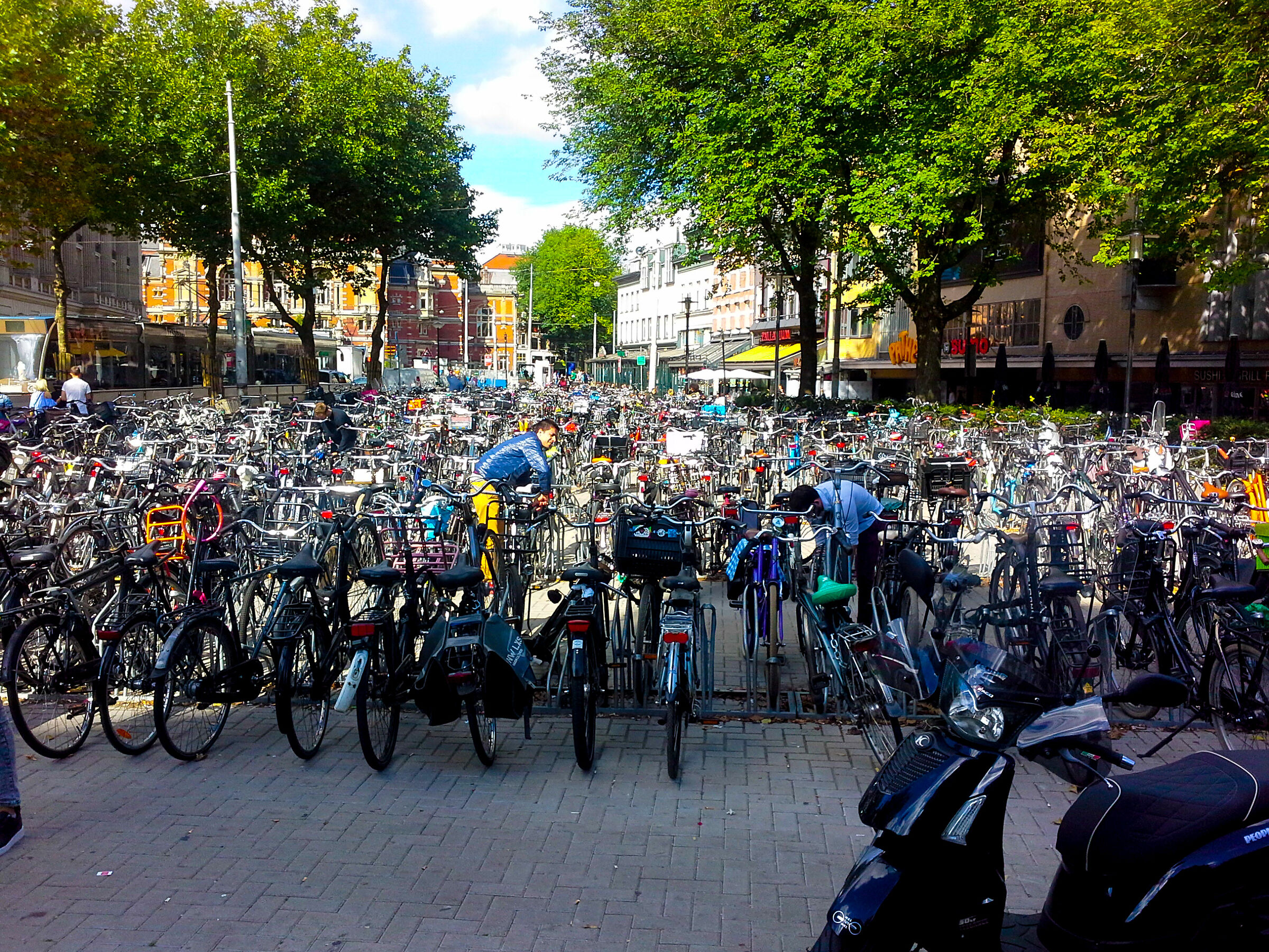 Amsterdam biciclette...