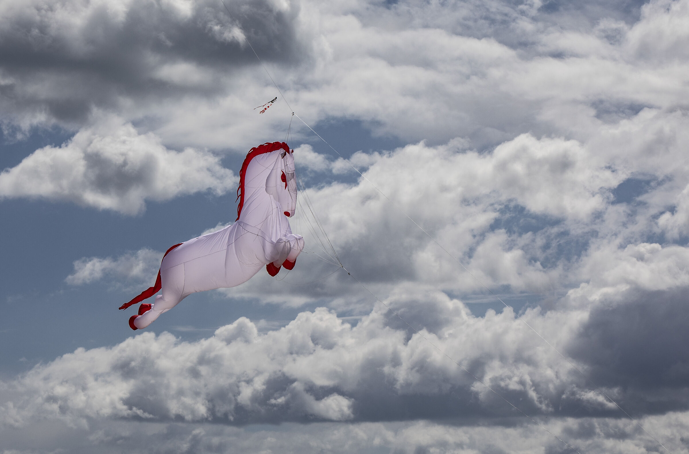 Galloping in the sky...