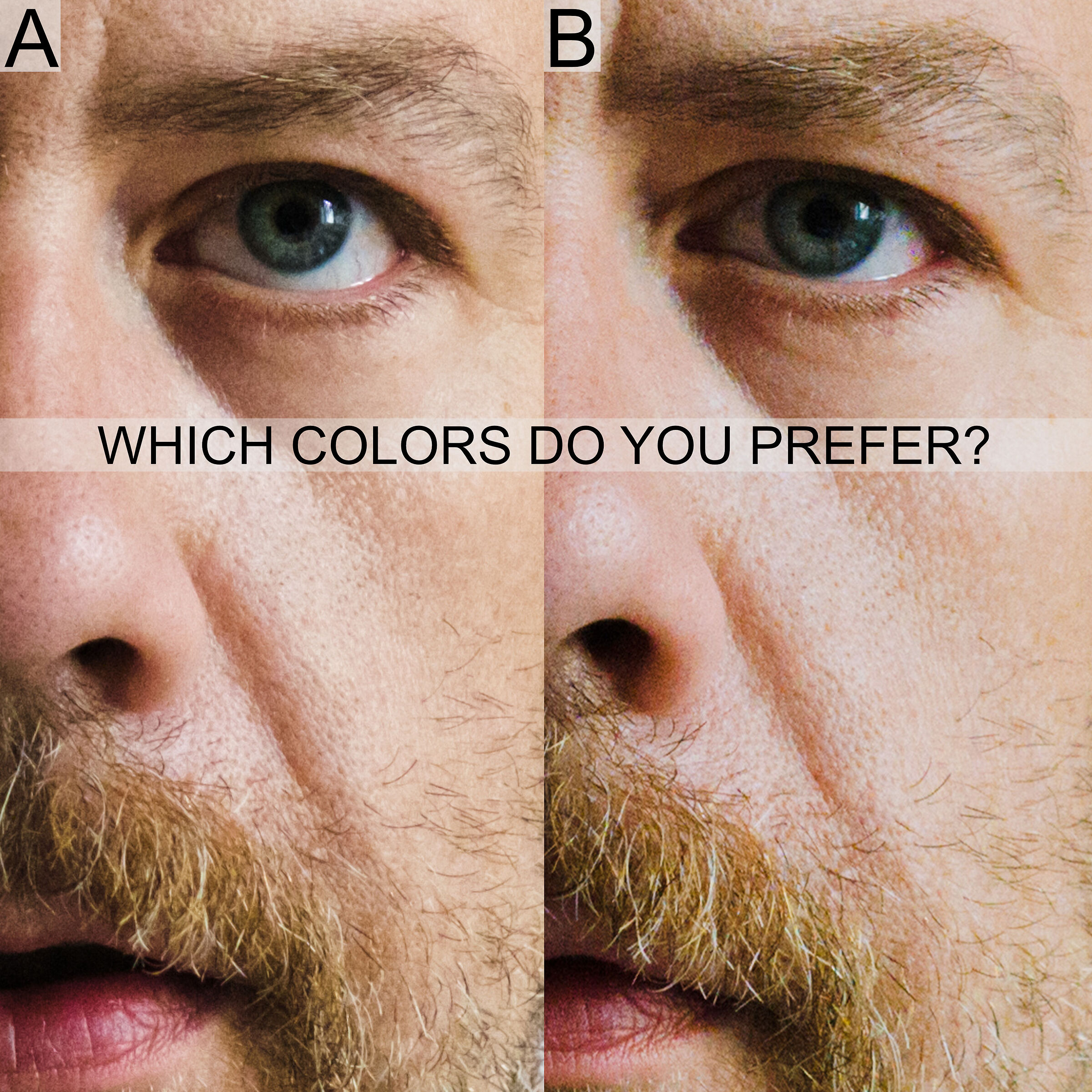 Which colors do you prefer? ...