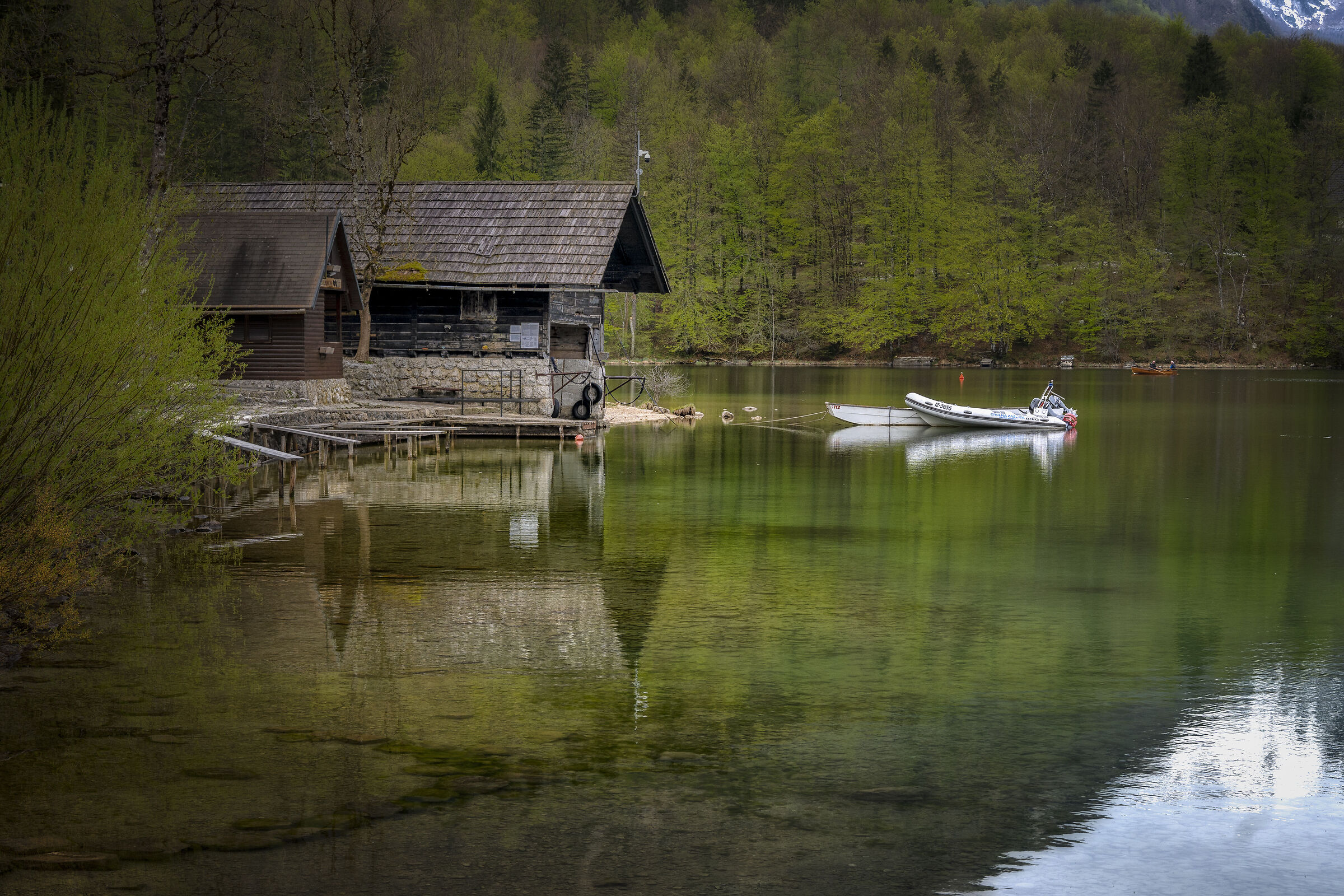 Lago di Bohinj Slovenia...