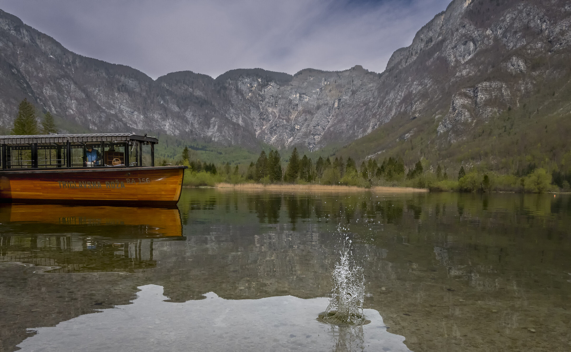 Lake Bohinj Slovenia...