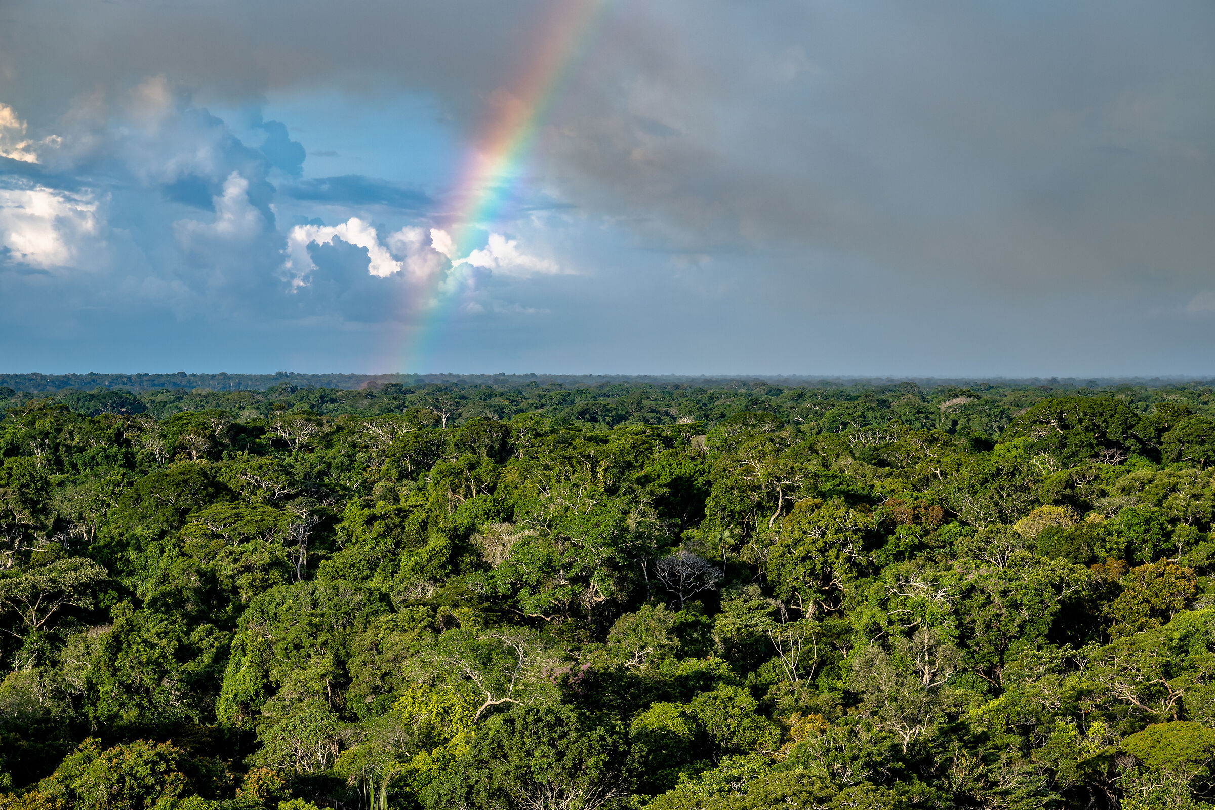 Peruvian Amazon...