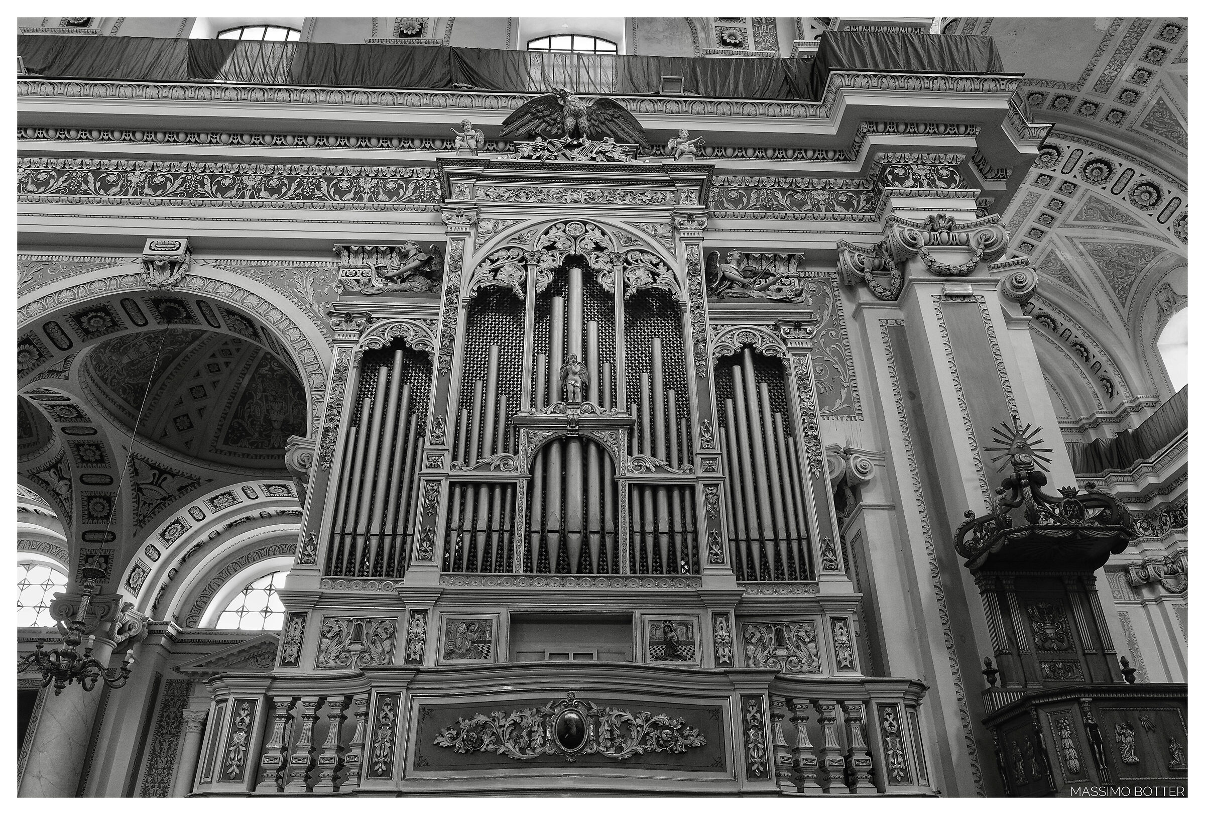 Comiso 6 The organ...