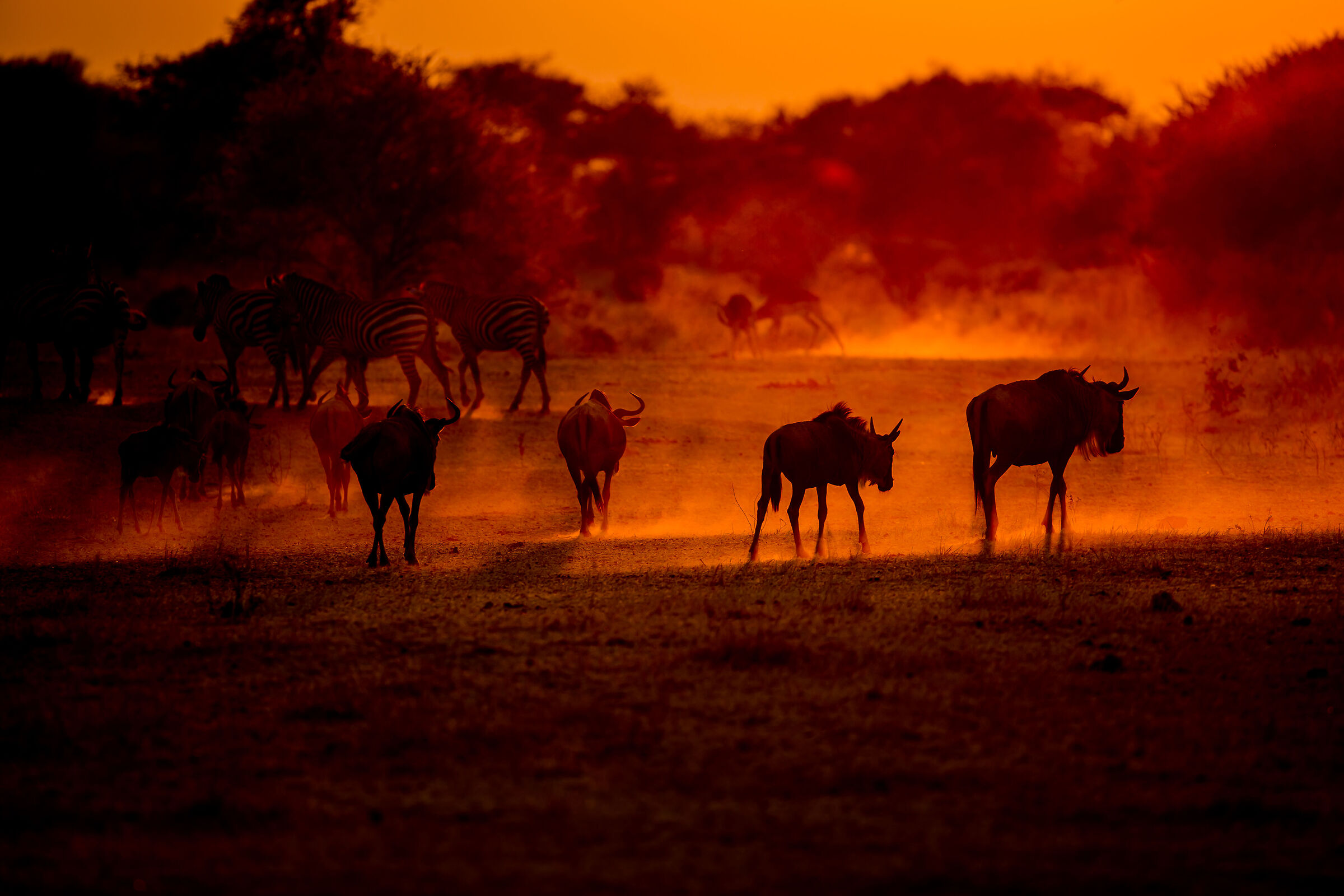 African sunset ...