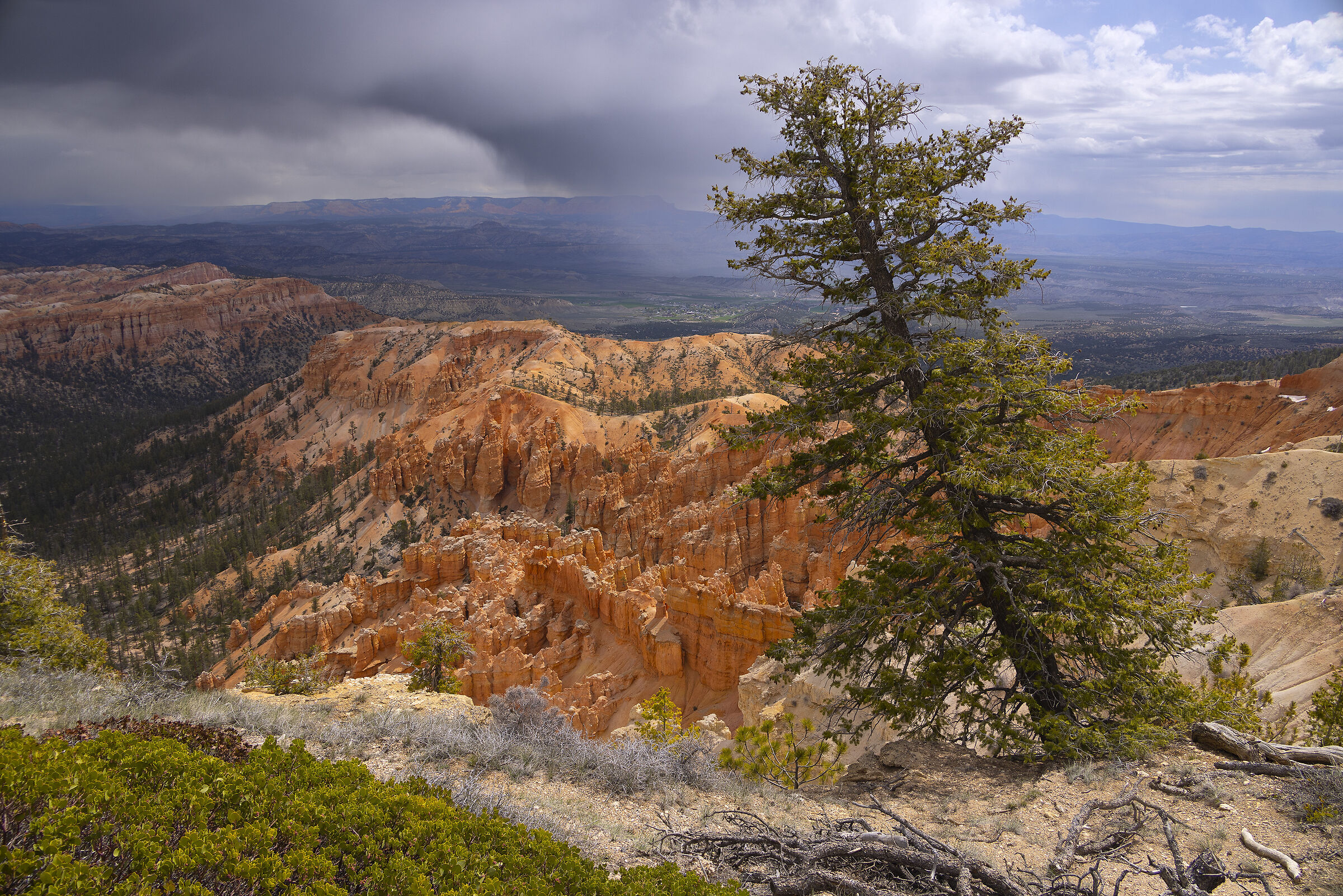 Bryce Canyon (Utah)...