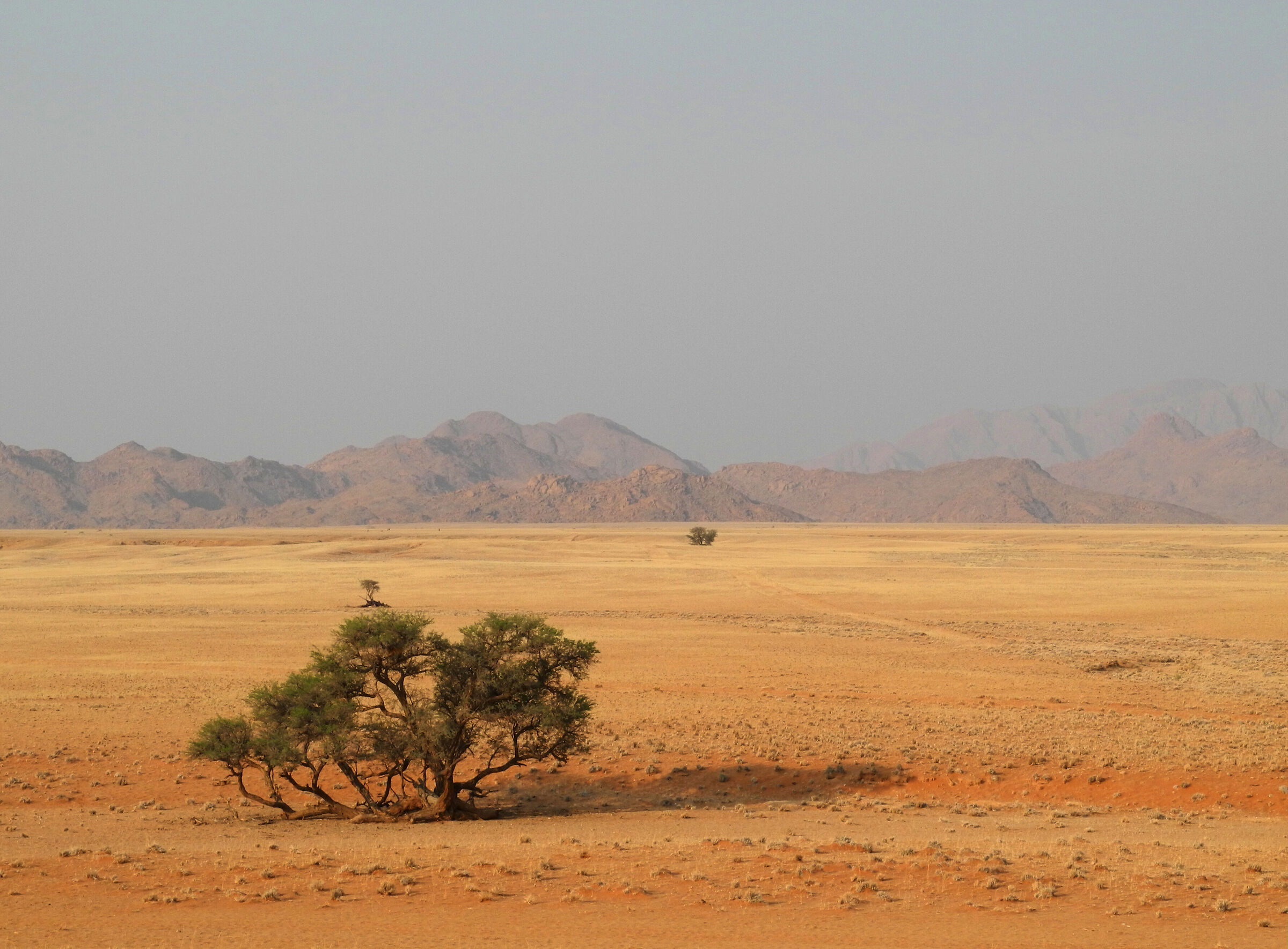 Namibian glimpse...