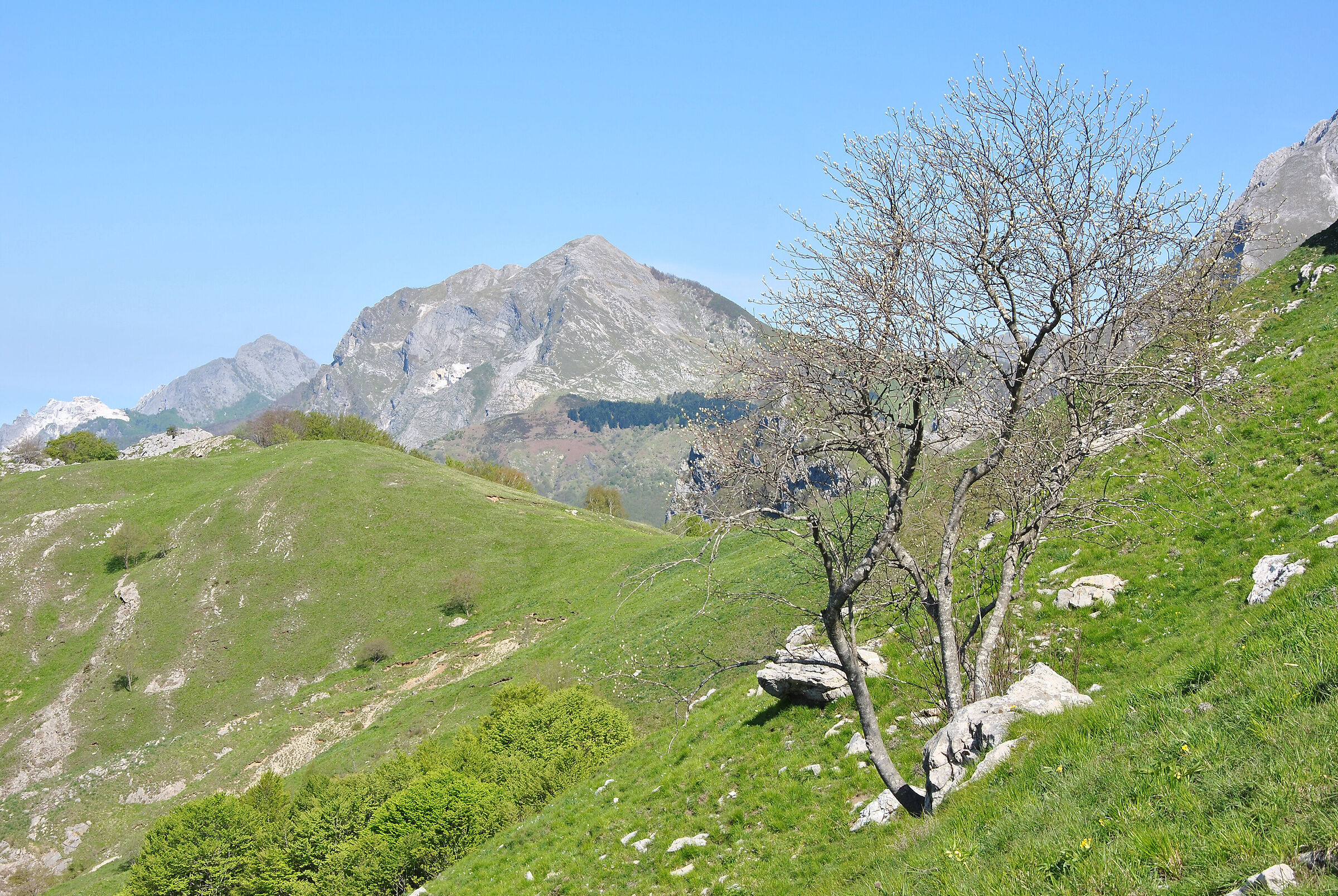 Alpi Apuane: monte Corchia dal monte Croce...