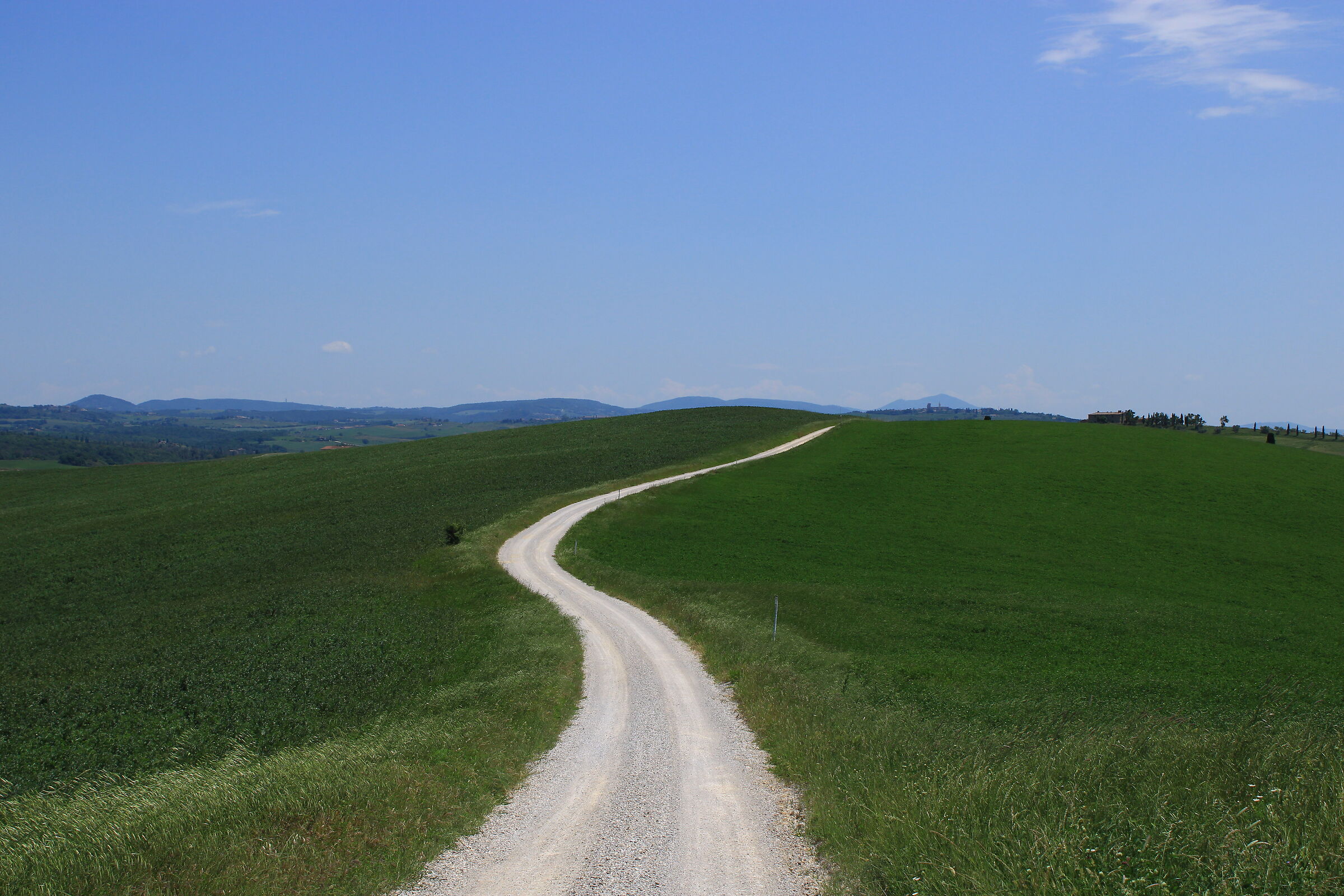 White road in the middle of a meadow in Tuscany...